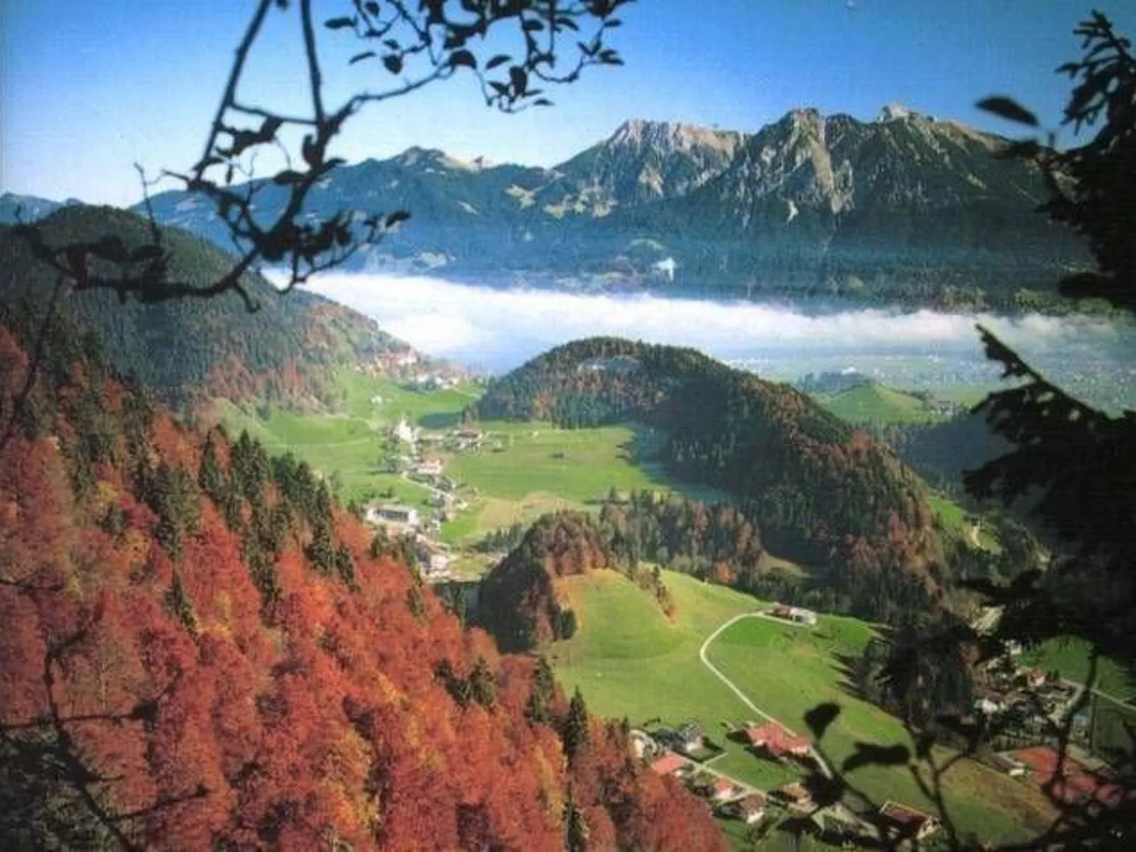 Falkenberg Wh 206-Dedans