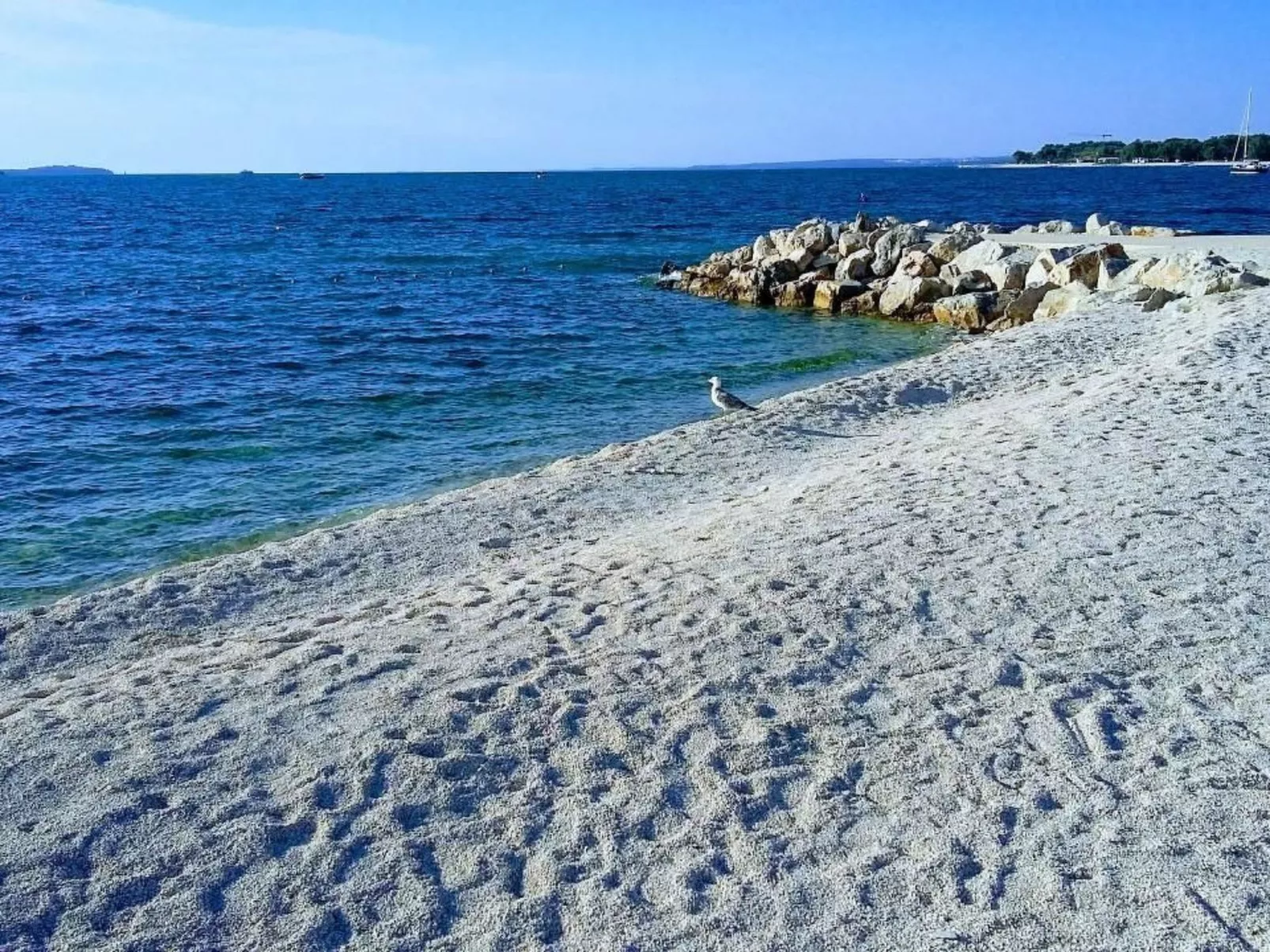 "Blue", Valbandon-Dedans