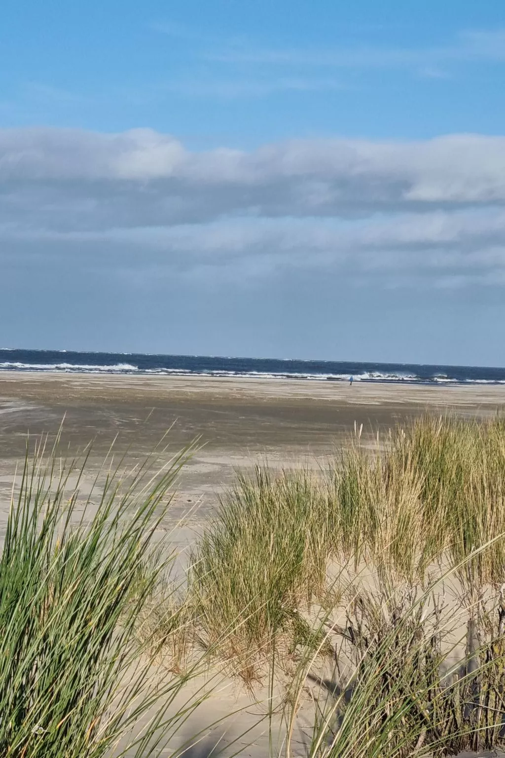 Süddünenidylle-Dehors