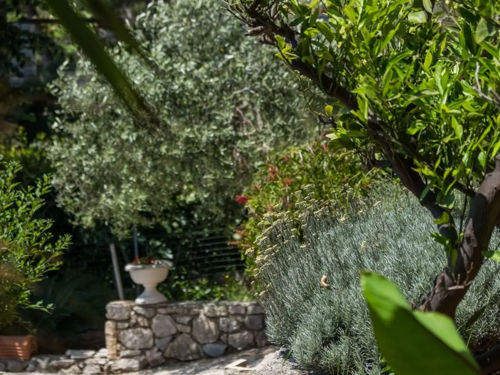 Villa Magnolia - Apartment Gardenia-Inside