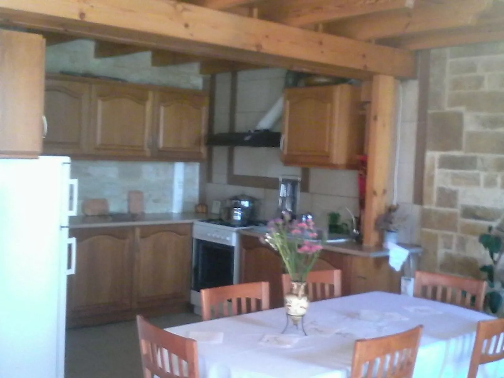 BIO-Energie-Villa Antonis-Drinnen