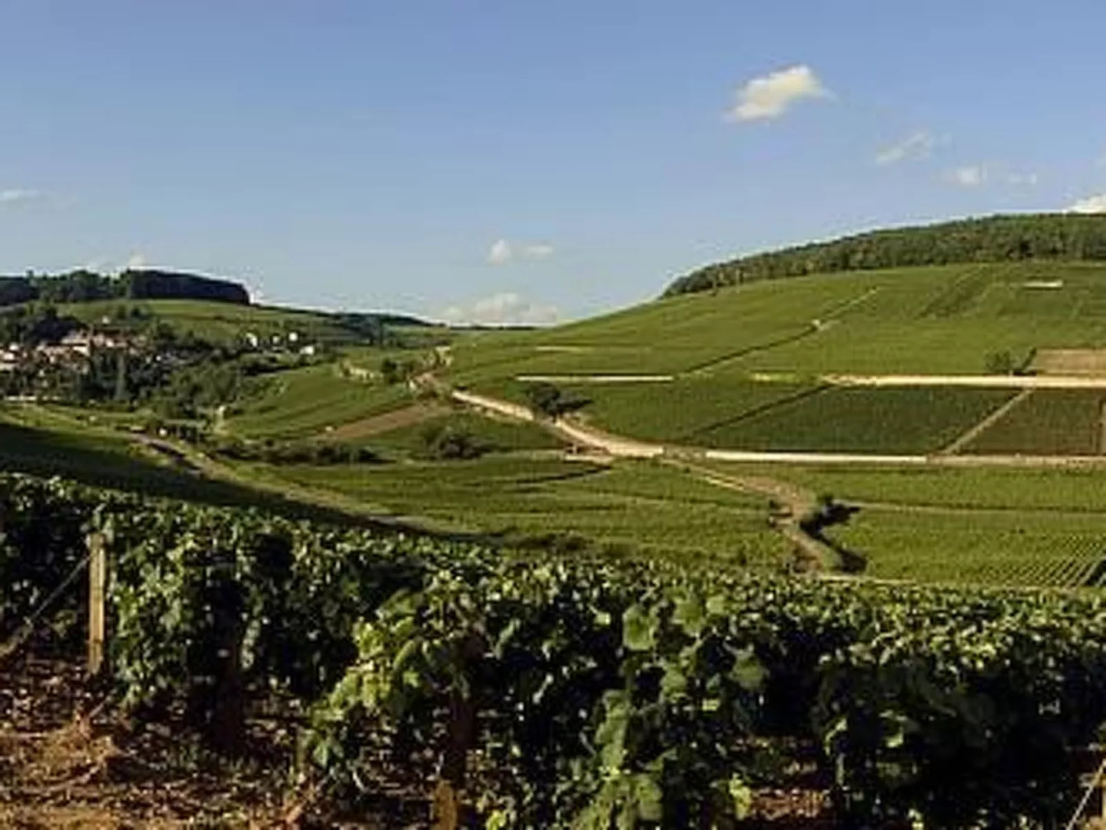 Maison les isles menefriers-Dehors