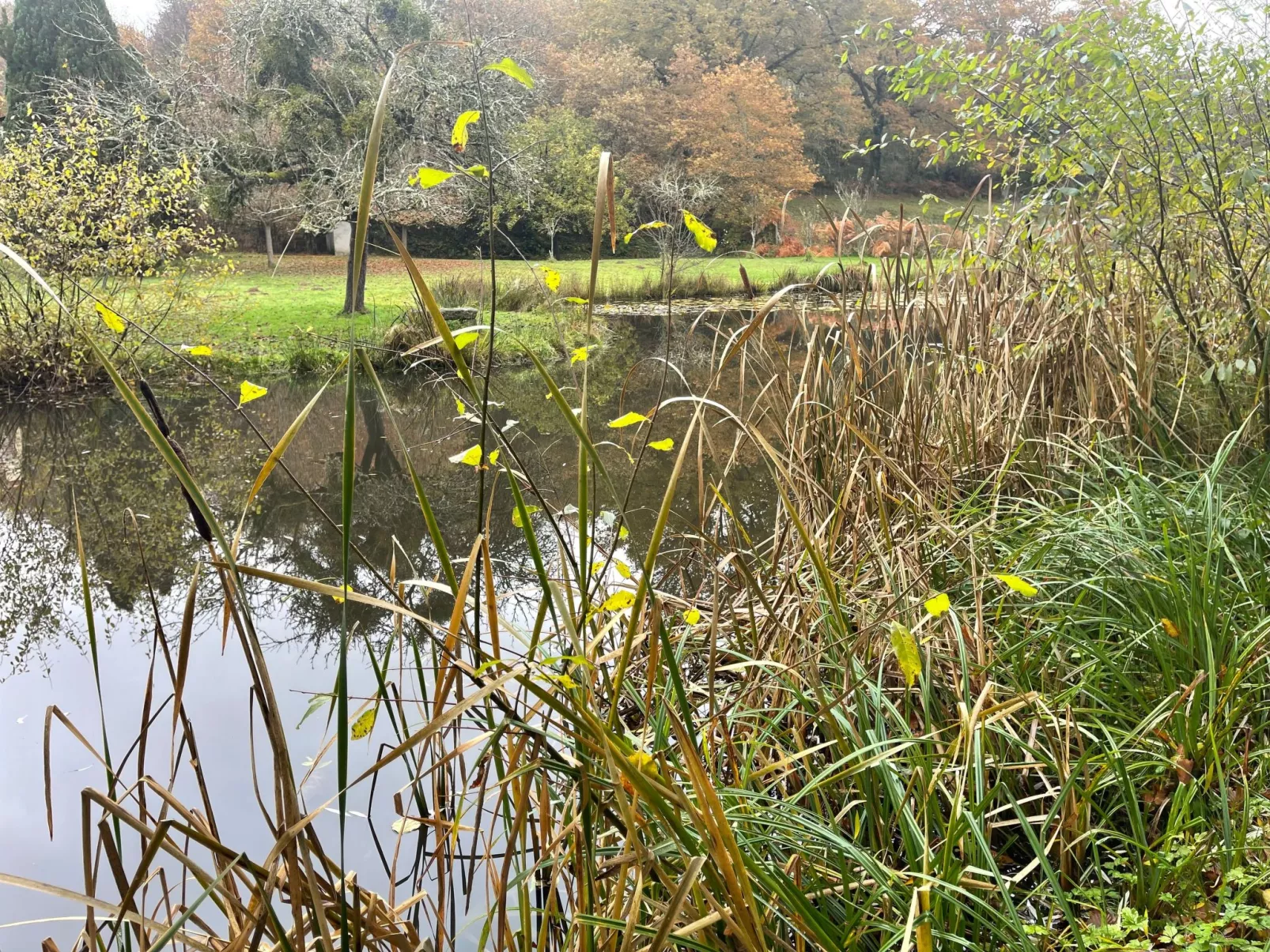 Für 6 Pers. mit eigenem Teich-Inside