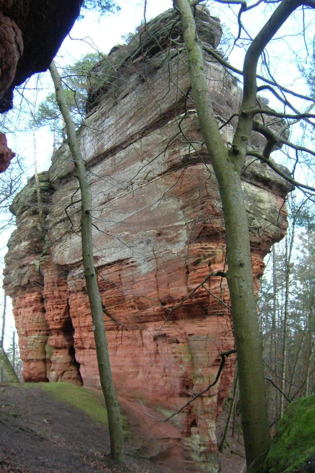 LES BRIMBELLES-Dedans
