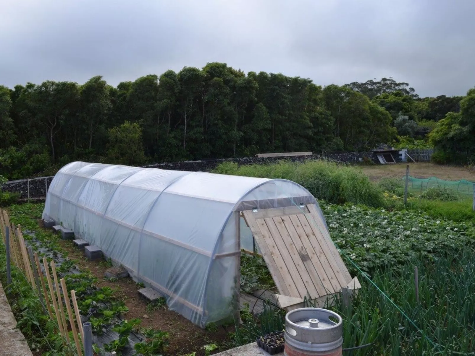 Das Haus der Weinkellerei-Image-tags.info