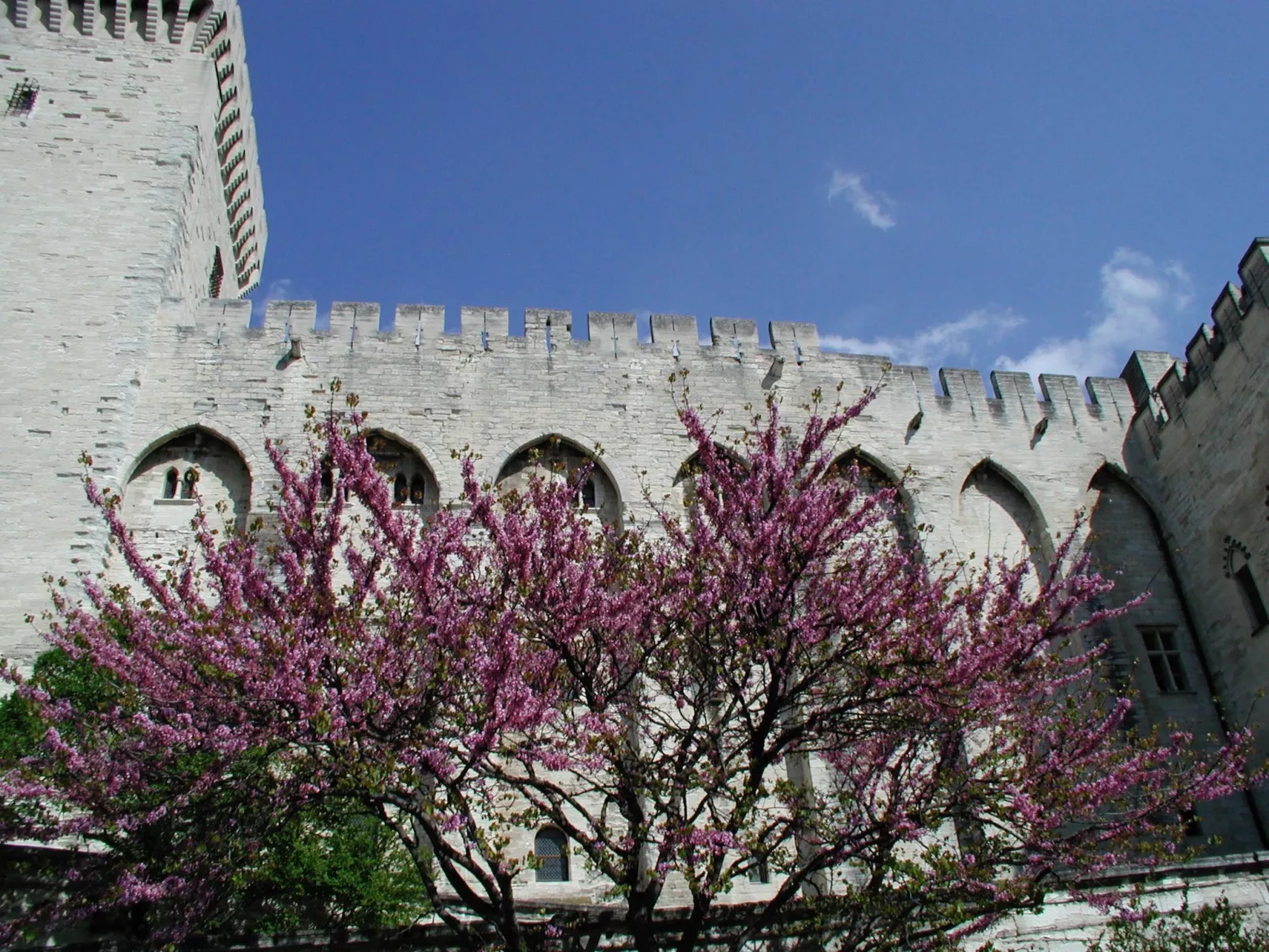 À l'abri du Mistral-Drinnen