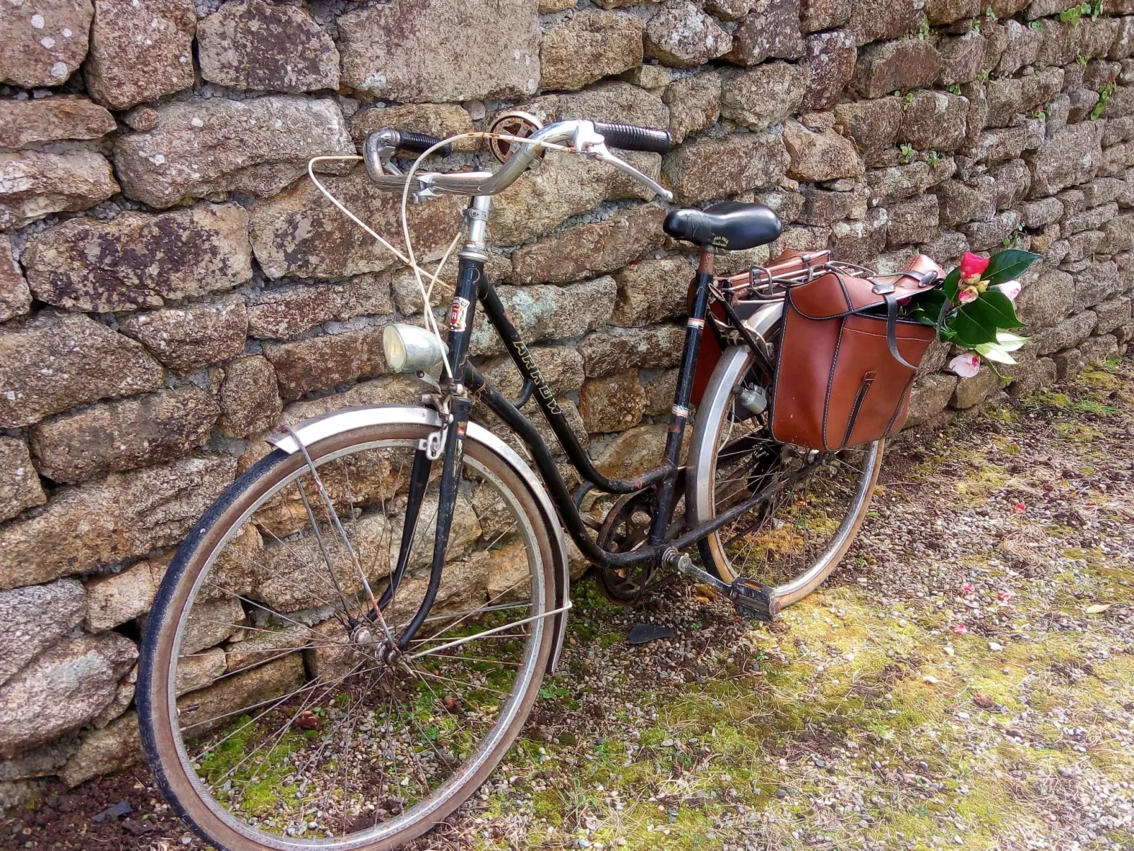 Bretagne Loctudy Haus Les Camélias 3 Personen-Dedans