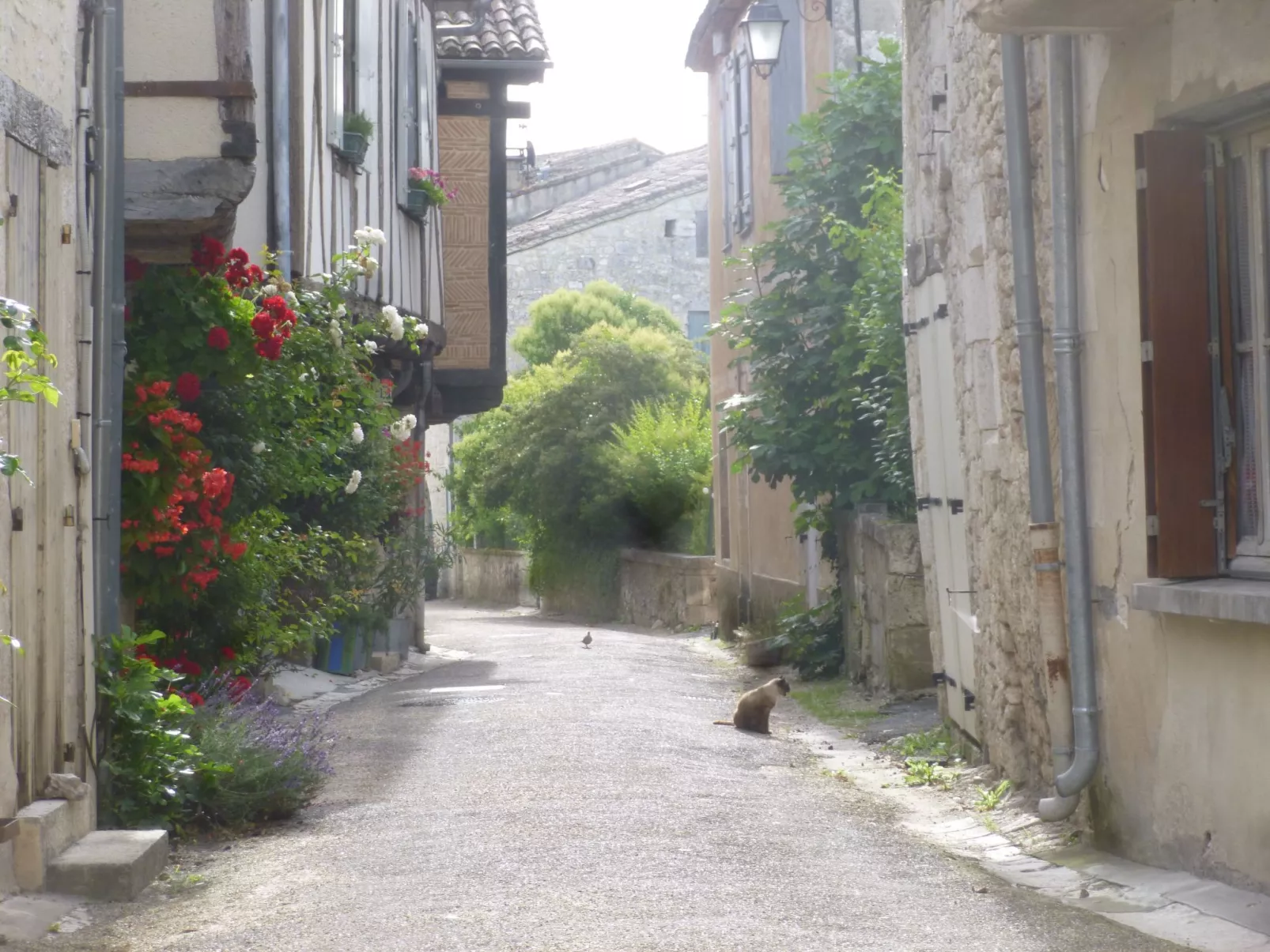 Fachwerkhaus "gitealienor perigord"-Drinnen