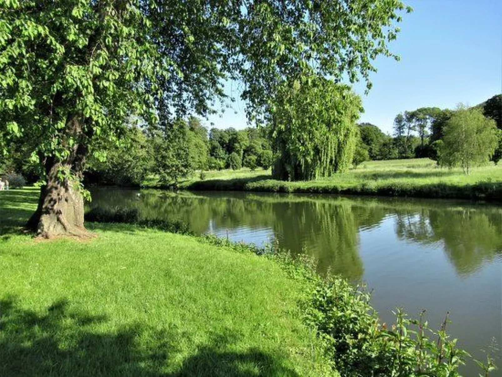 Gemütliches und charmantes Apartment in der Nähe von Disney-Draußen