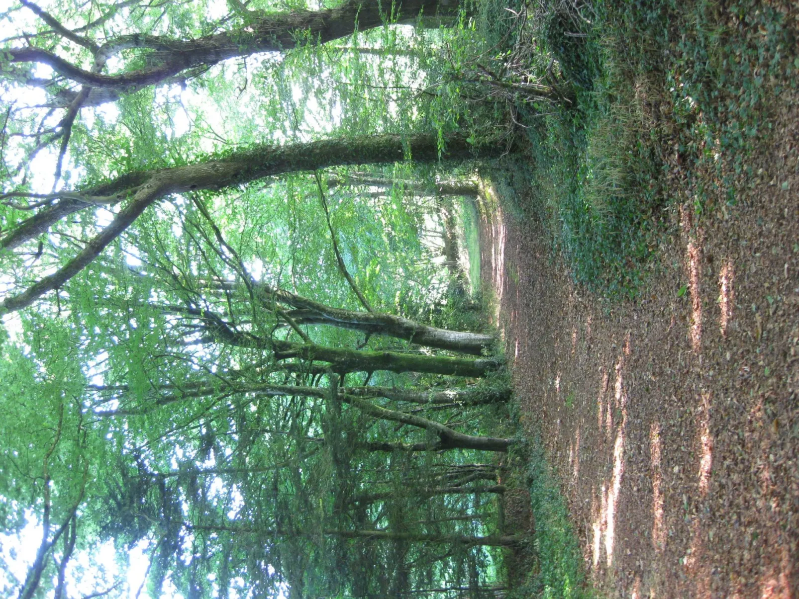 Hütte für vier Personen-Dehors