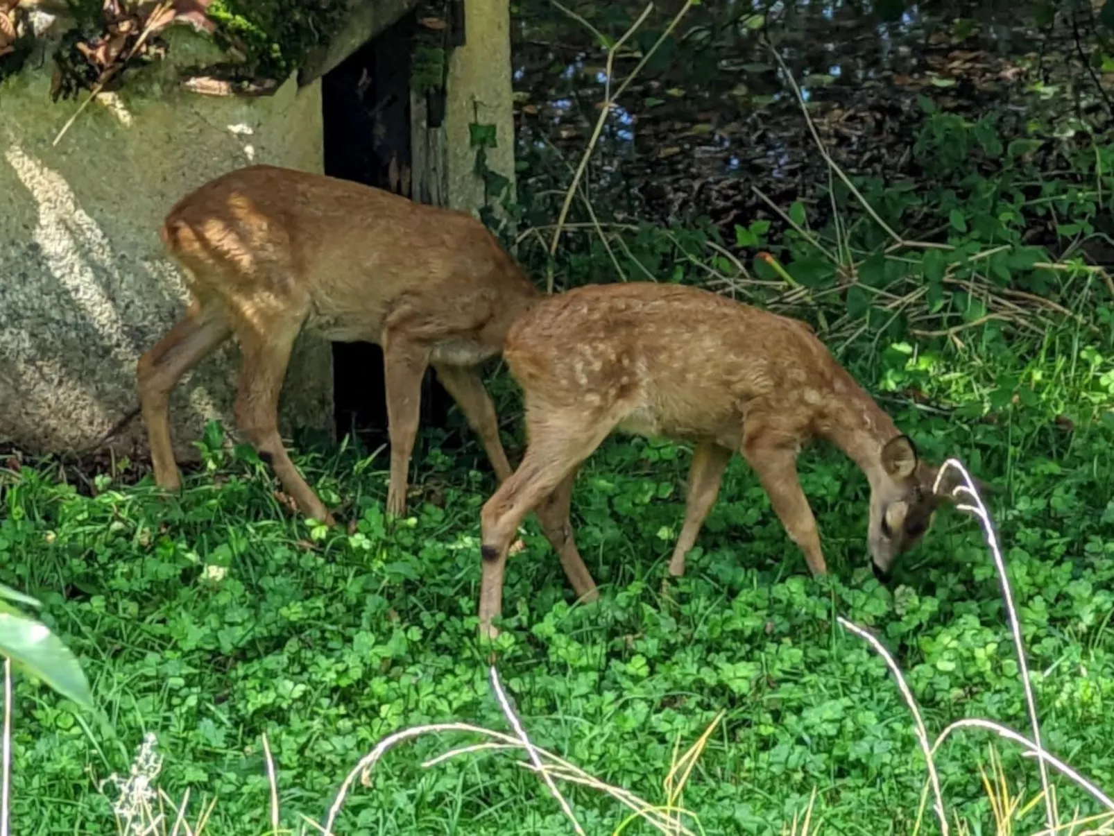 Im Herzen des Périgord Noir in der Nähe von Limeuil-Outside