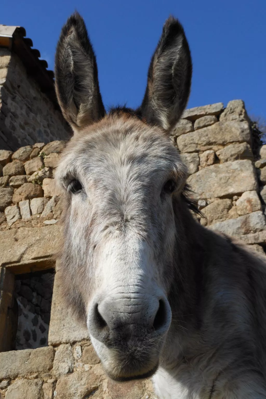 "Les Glycines"-Dehors