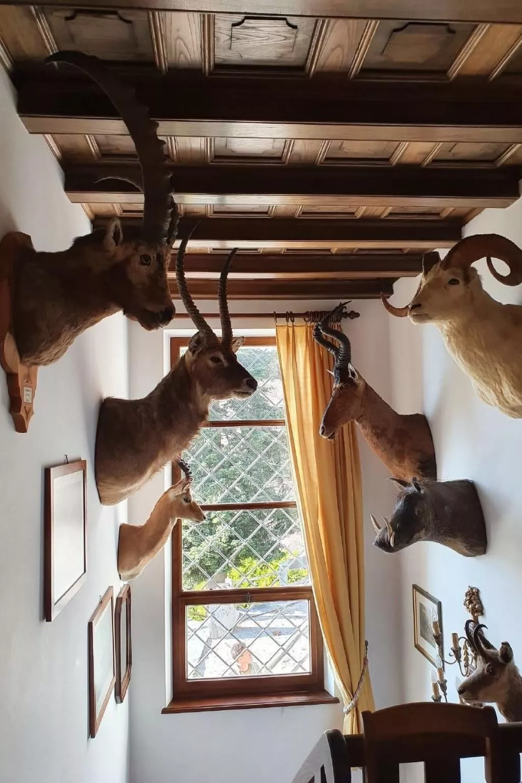 "Haus St. Bernhard-Drinnen