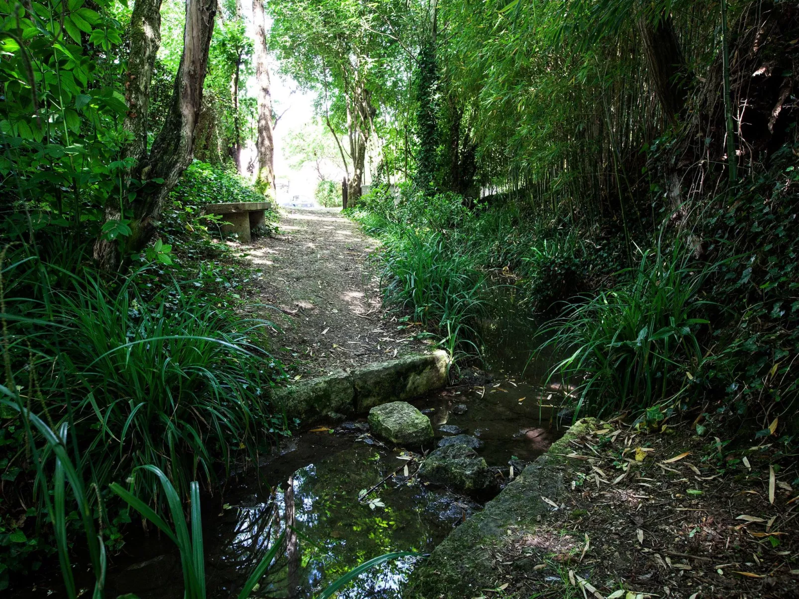 "Gite de Guillemat"-Outside