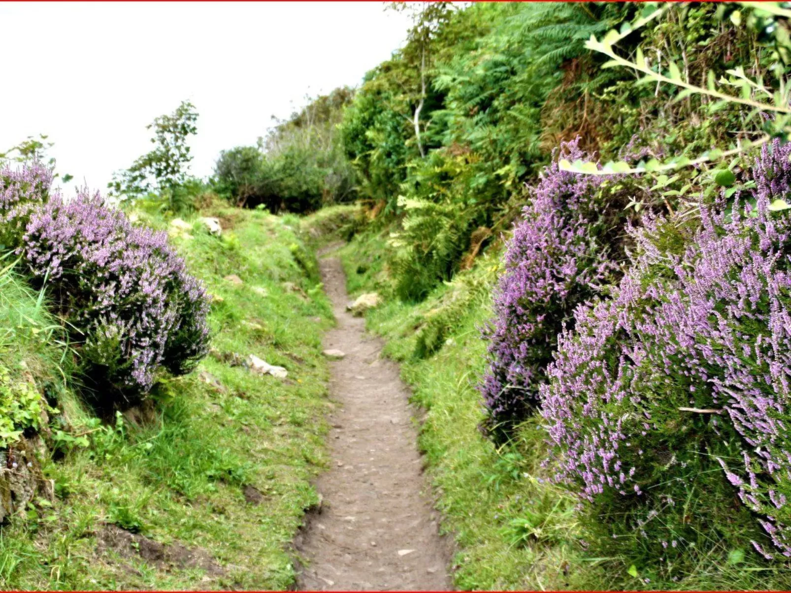 Gîte de Kerberso in Pléhédel-Draußen
