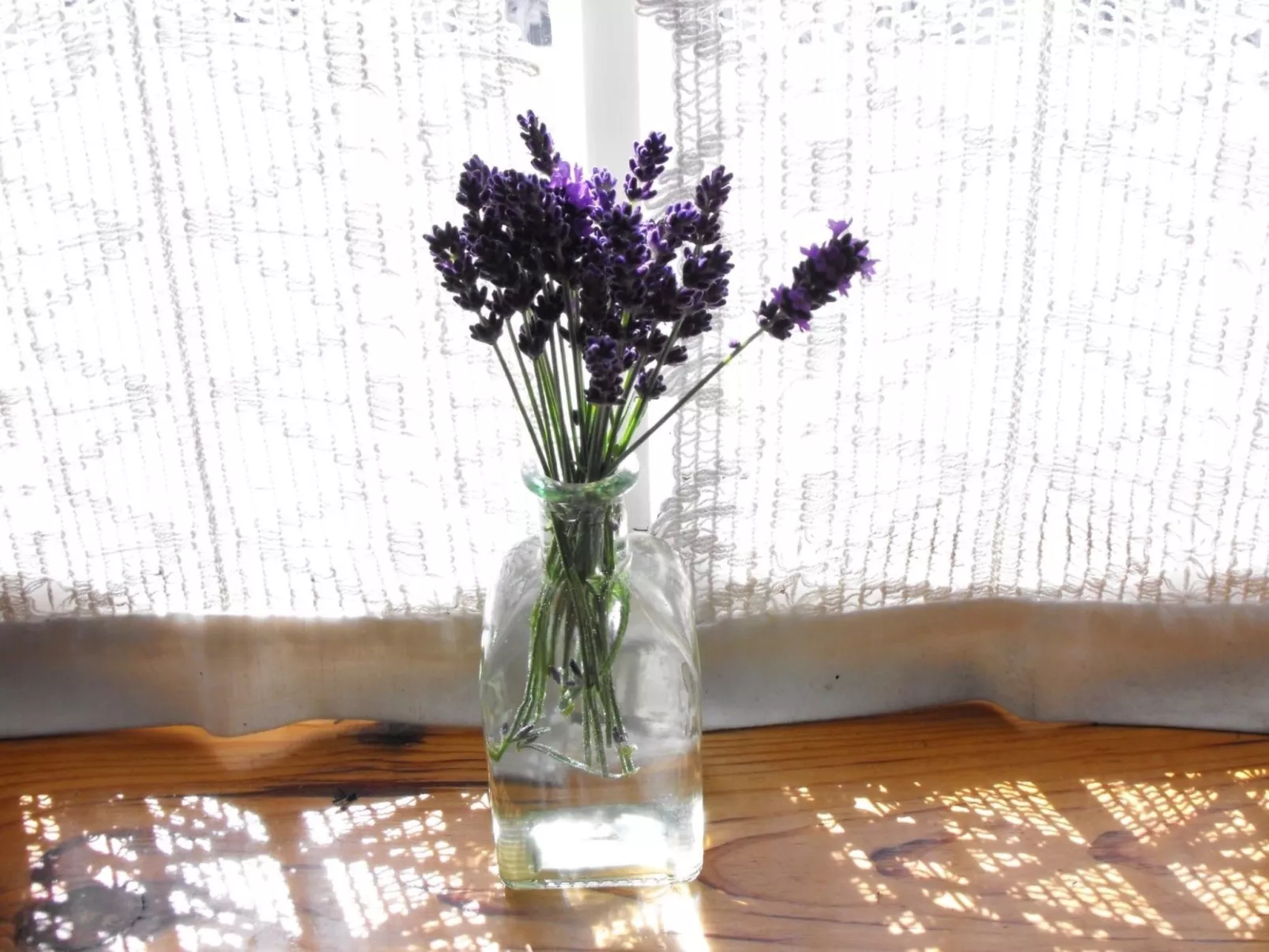 Kleiner Kokon mit seinem geheimen Garten-Inside