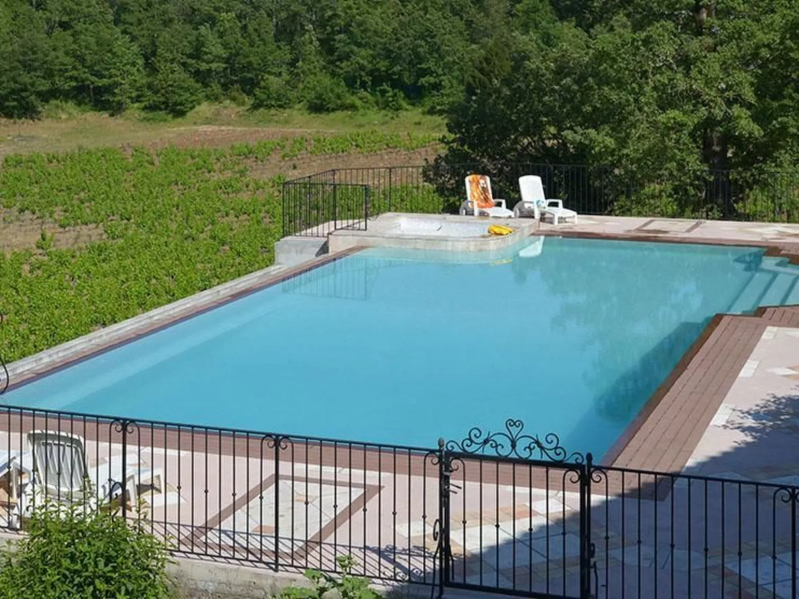 Gemütliches Studio inmitten von Weinbergen und Olivenbäumen-Draußen