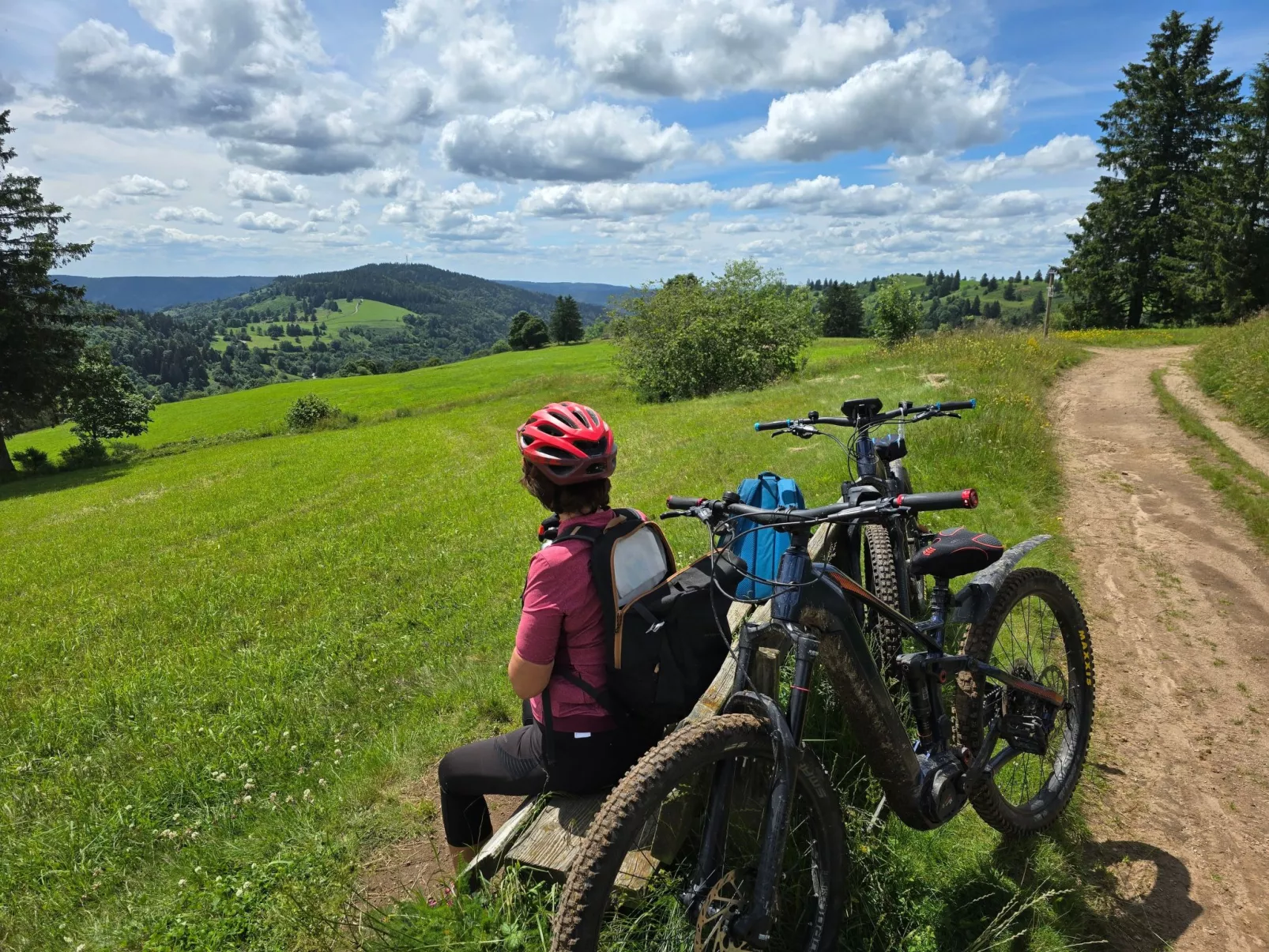 Le Chalet Sous Les Sapins, mit Swimmingpool, Sauna-Inside
