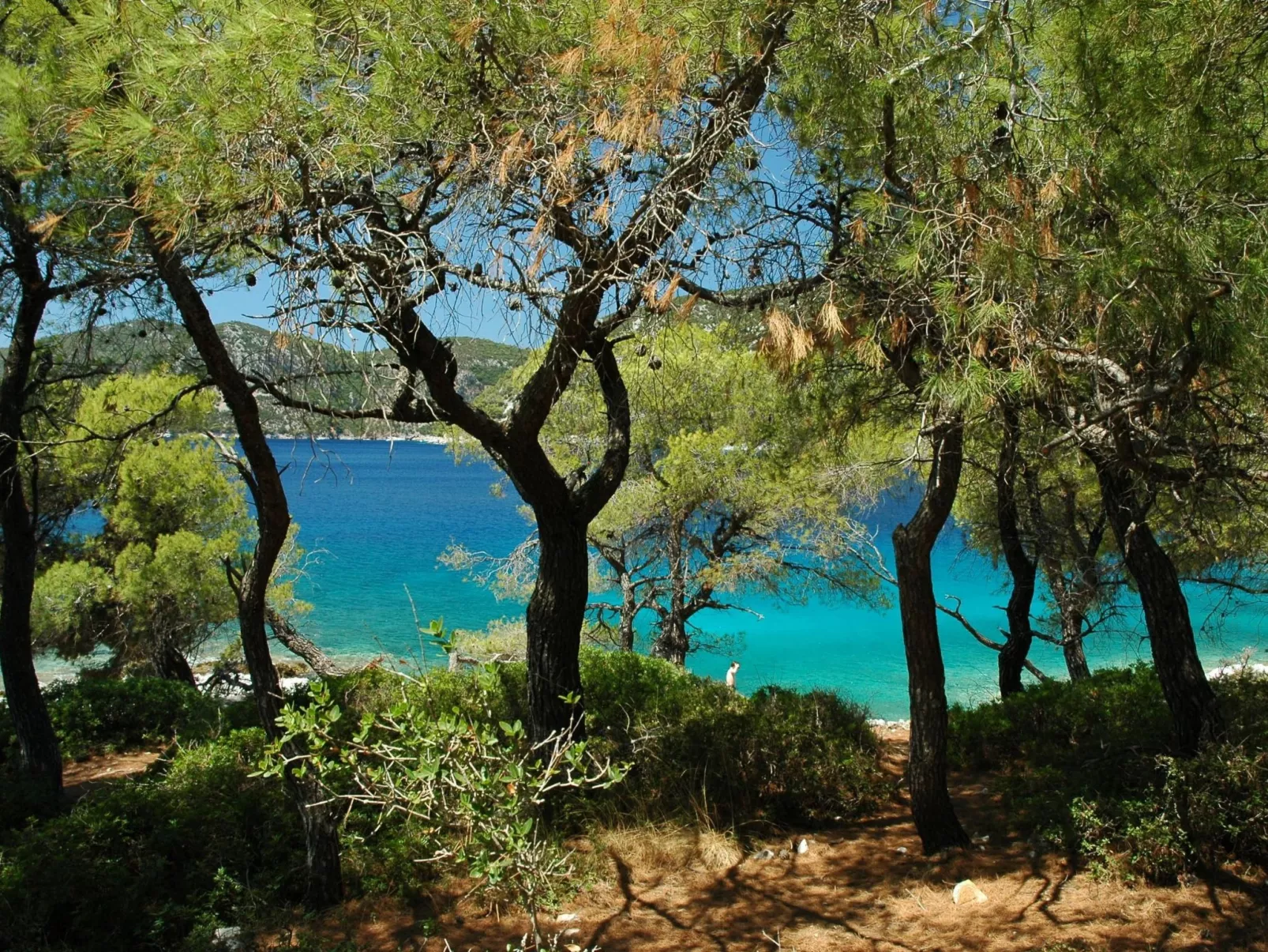 "Julia" mit Blick auf das Wasser-Image-tags.info