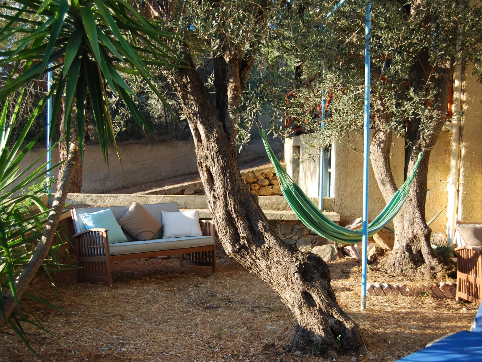 Spiti Limnos, idyllisch gelegen im Orangenhain-Drinnen