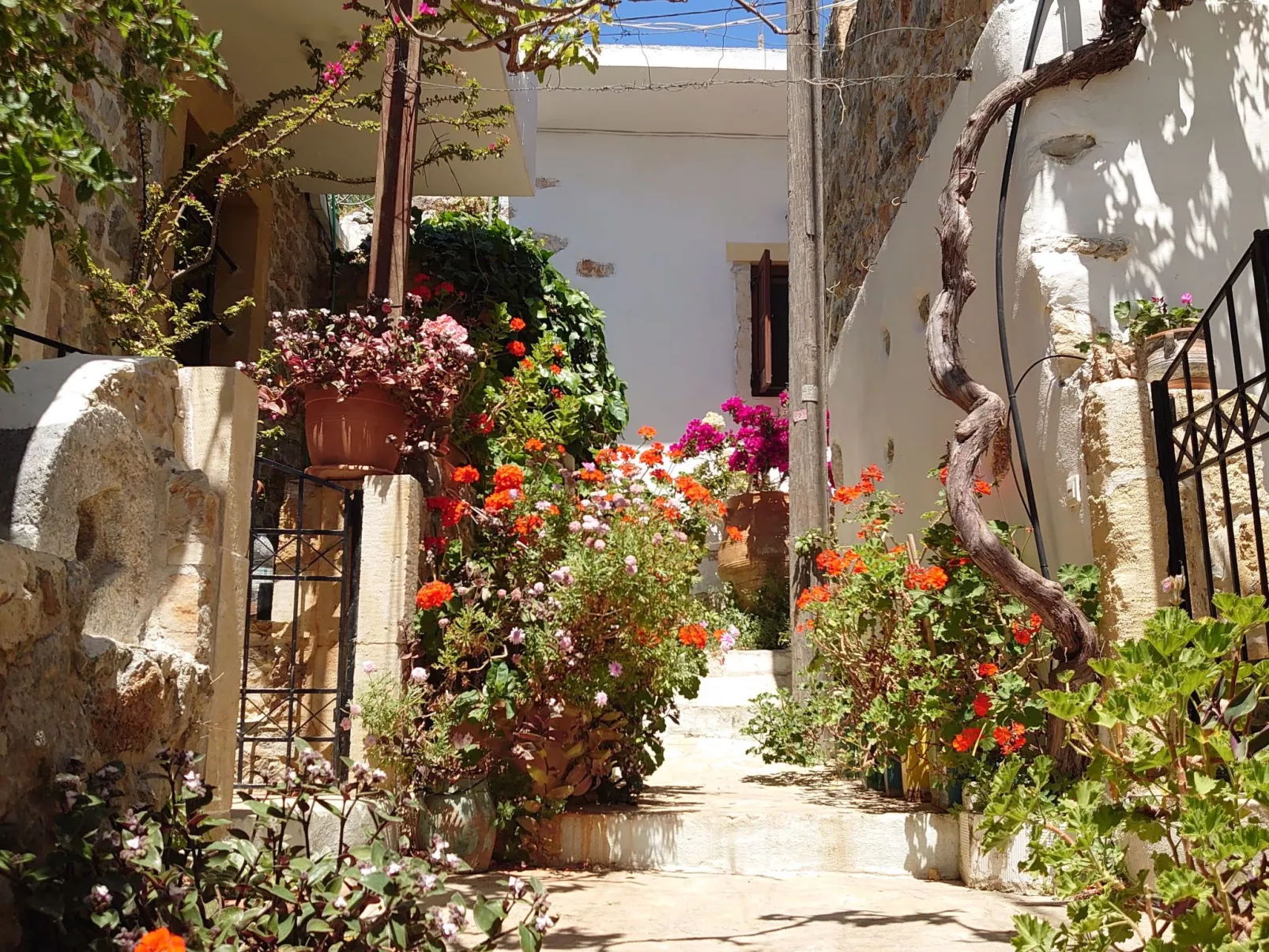 In Pefki mit Terrasse und Grill-Dehors