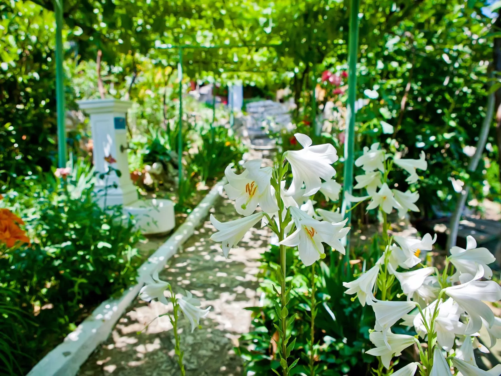 Mit Blick auf das Wasser-Draußen