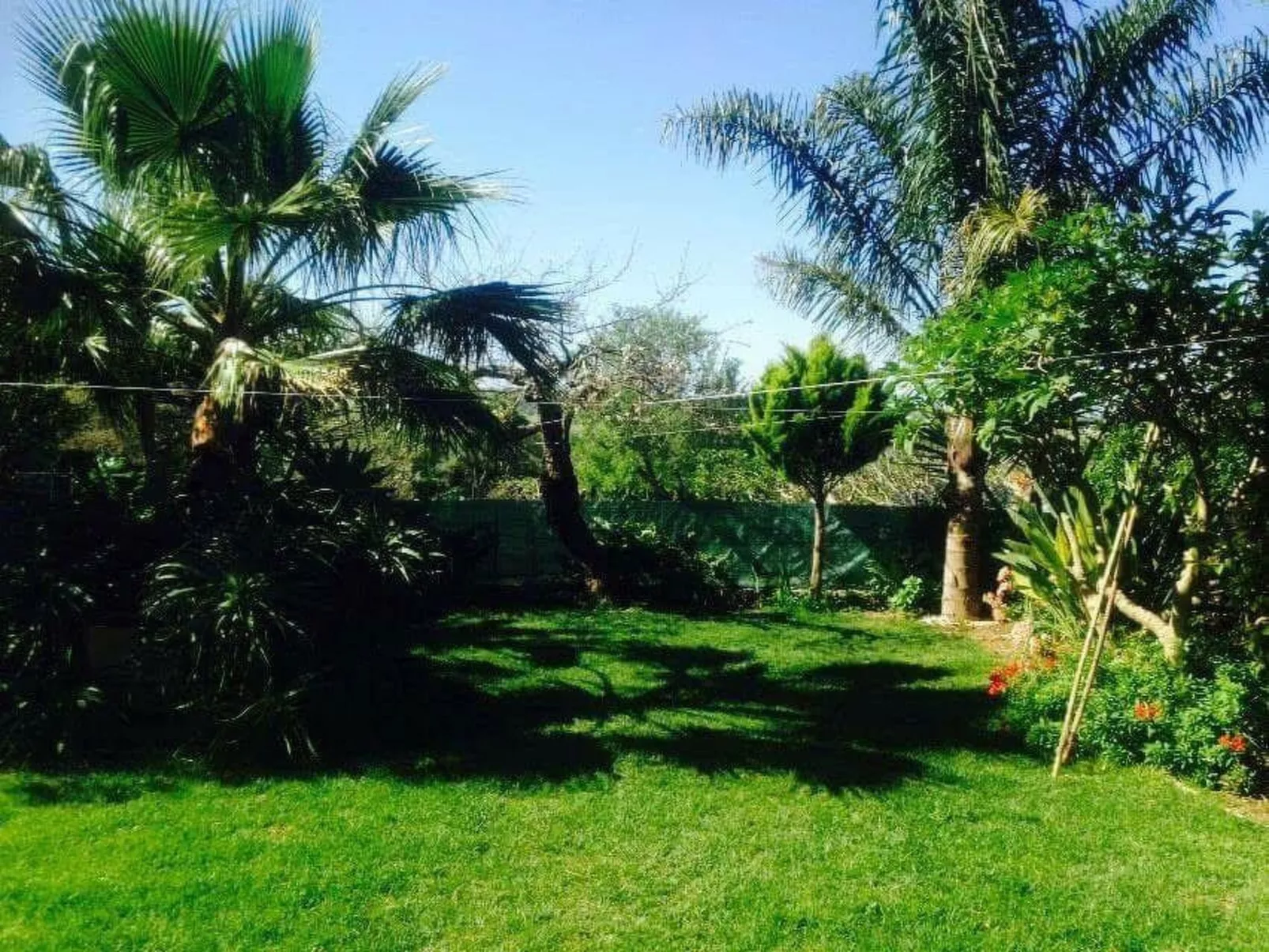 Für 4 Personen in Algoz, Algarve-Dehors