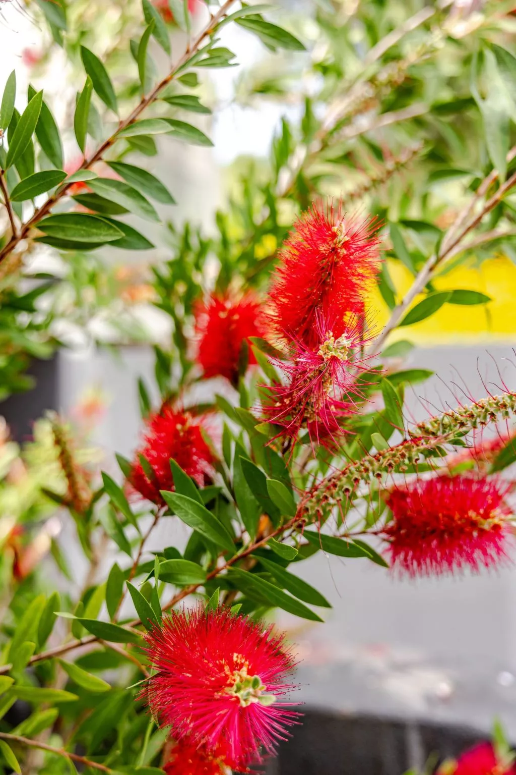 "TwinVilla Silberküste"-Dehors