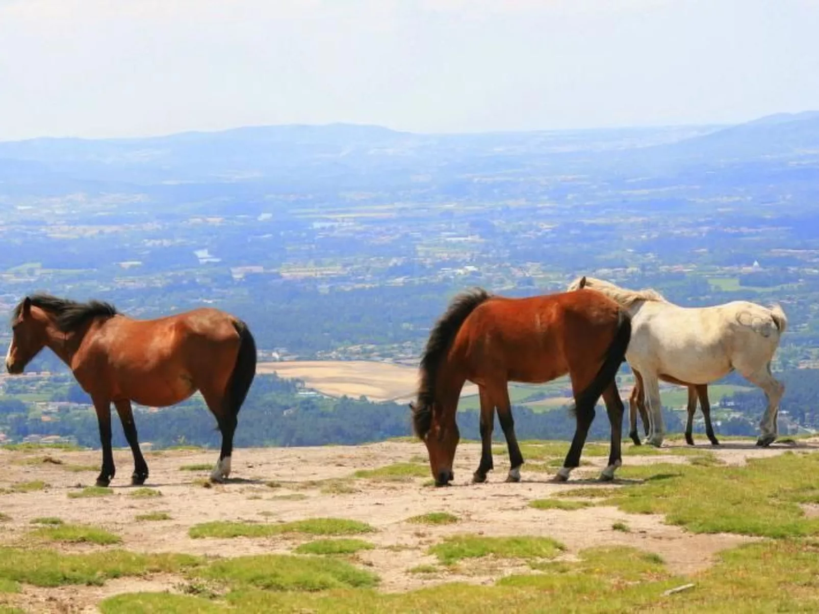 Ländliche Finca "Casa da Rocha"-Image-tags.info