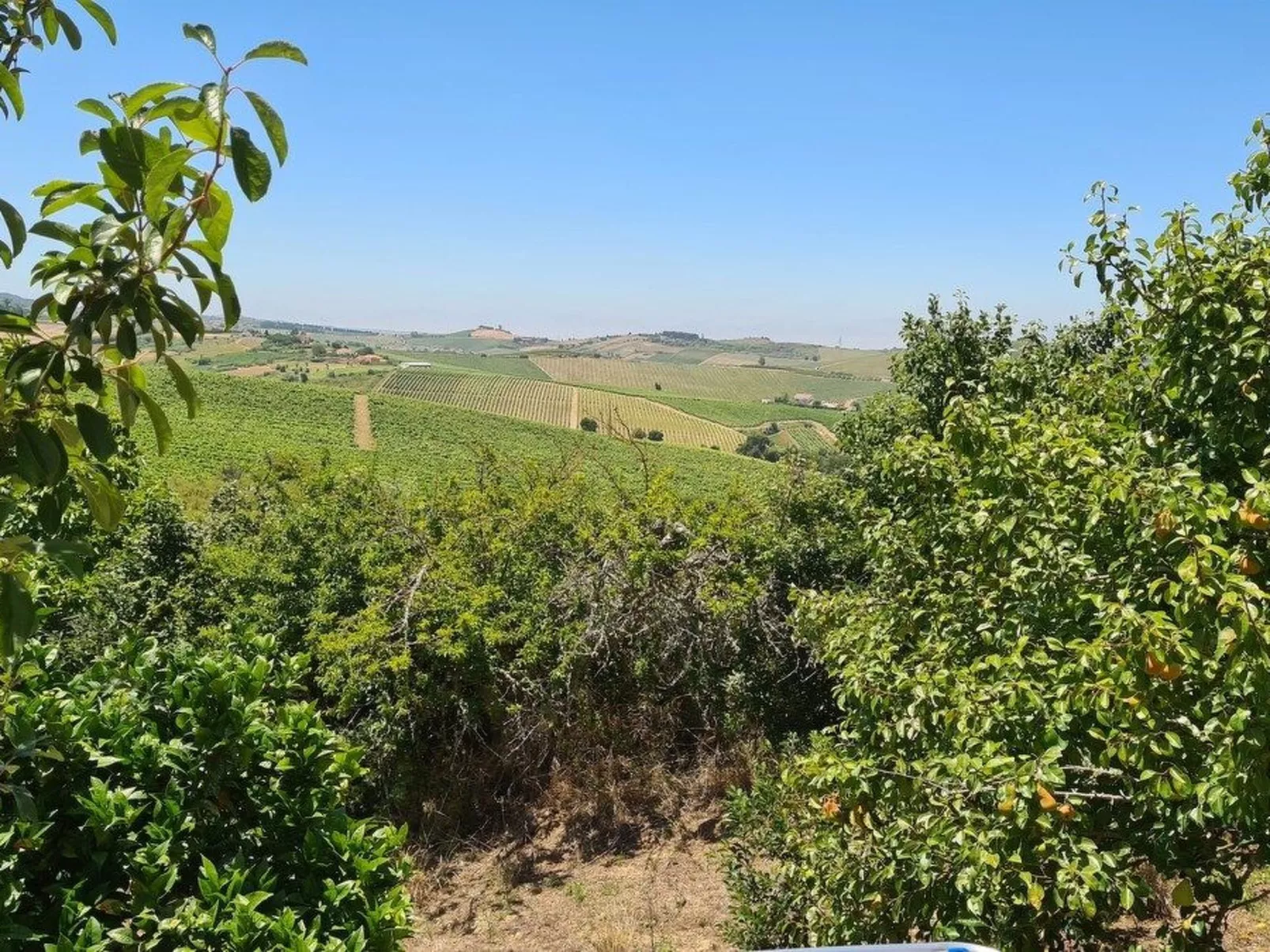 Haus in einem Bauernhof zwischen Weinbergen 2-Outside
