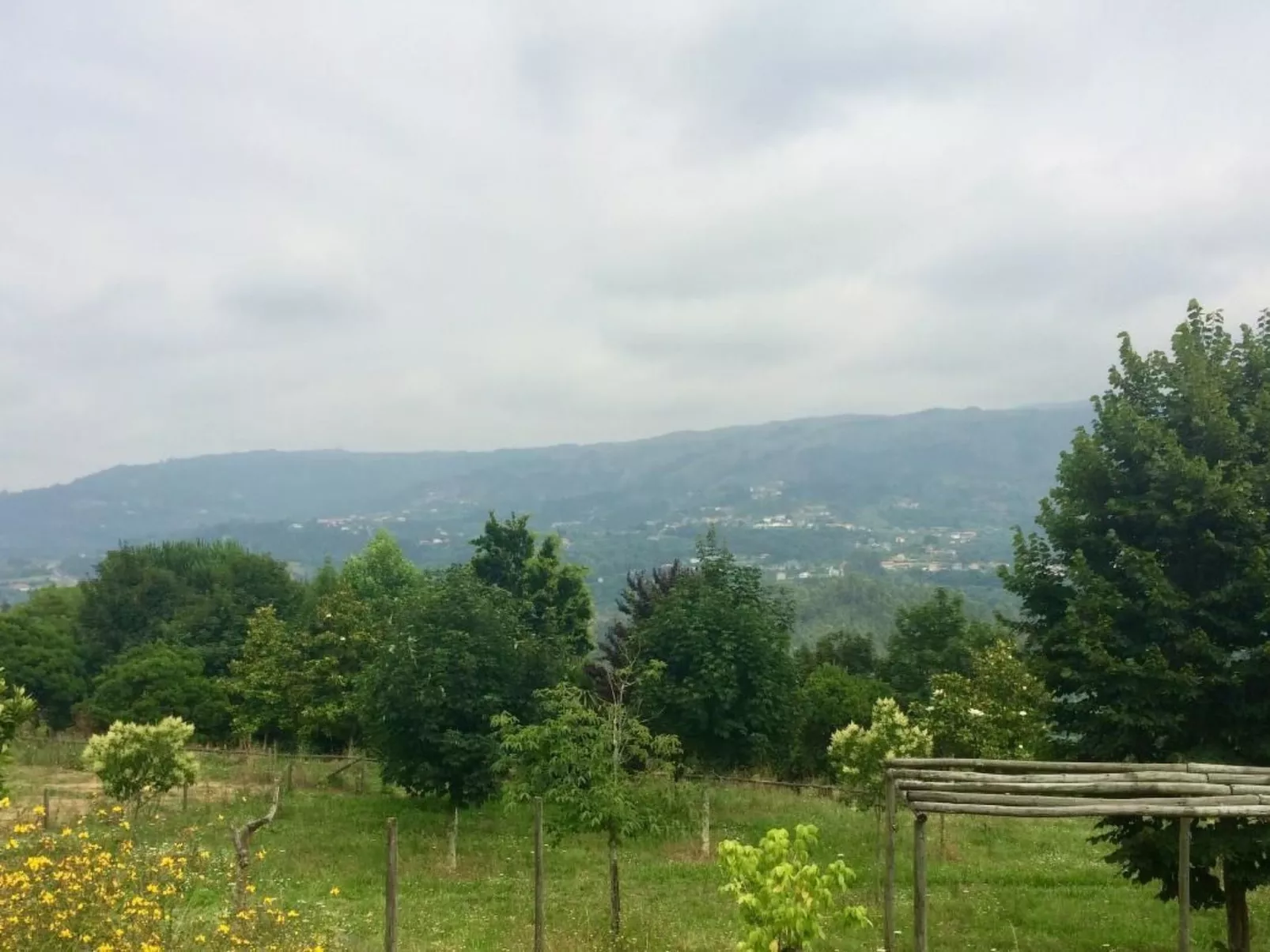 Mit Blick auf das Wasser-Image-tags.info