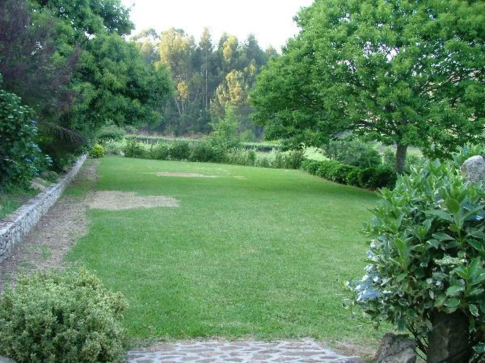 Finca "Quinta do Bento Novo"-Image-tags.info