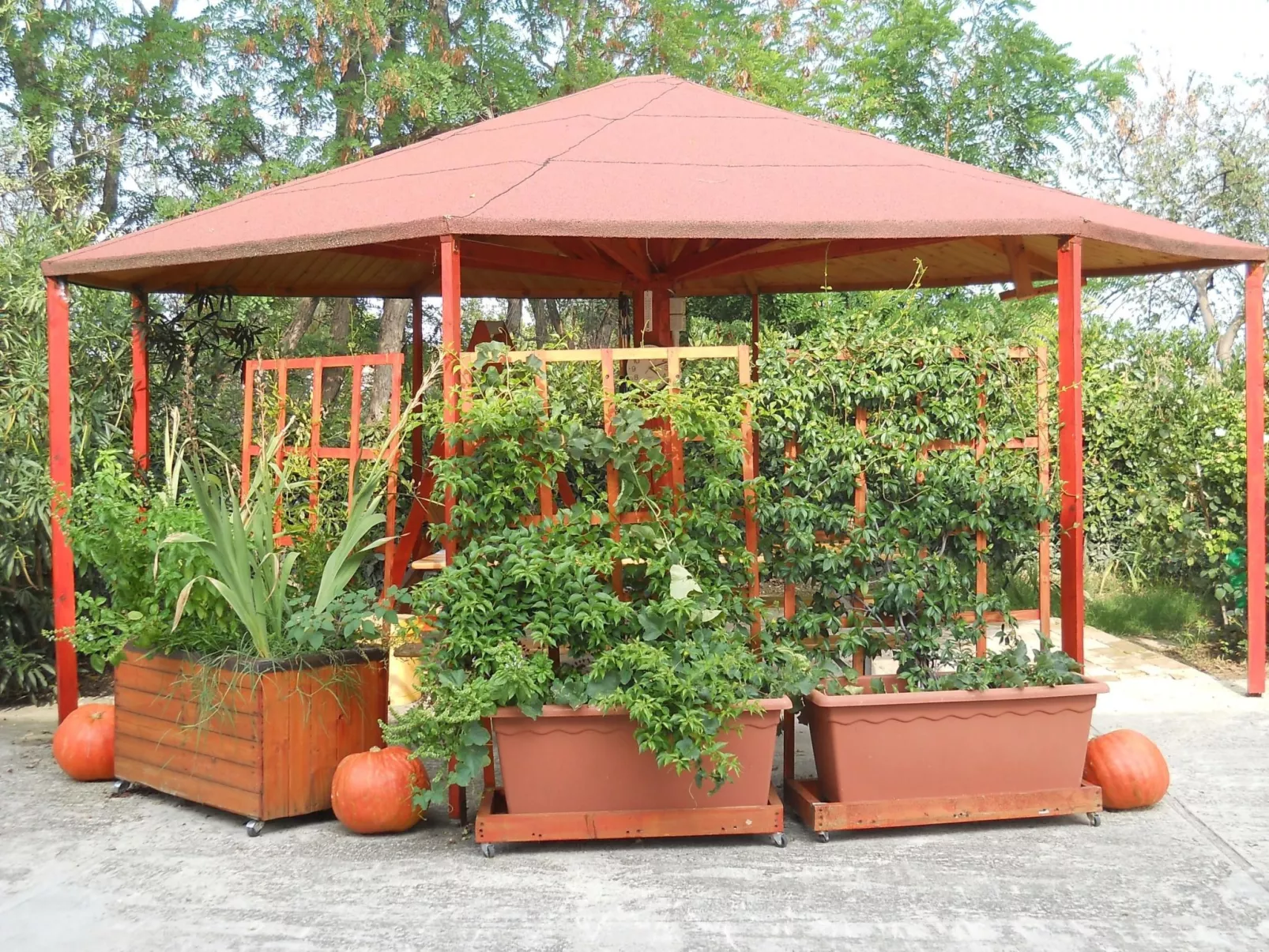 Wohnung mit Privatparkplatz und Panoramablick-Outside