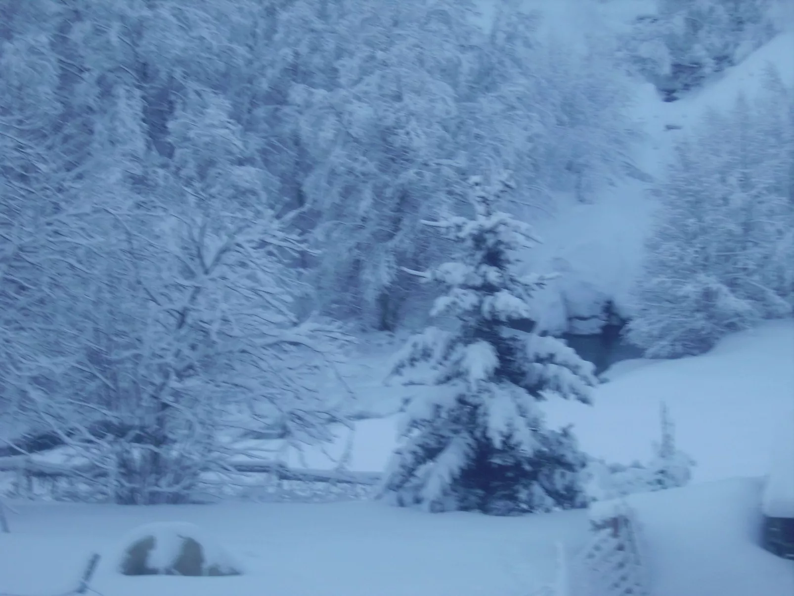 Wohnung in Chalet-Dehors