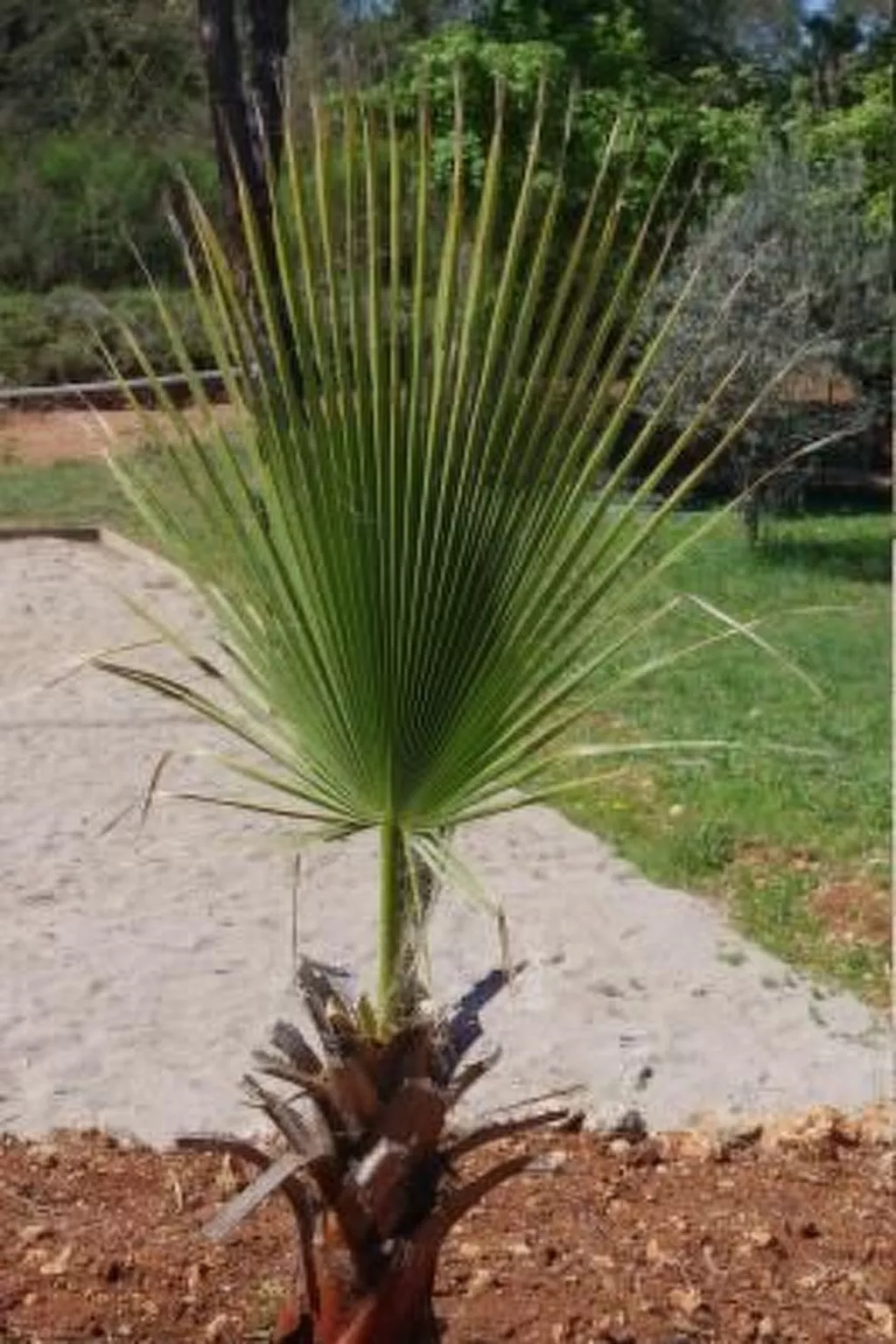 "La Cigale" mit Schwimmbad-Draußen