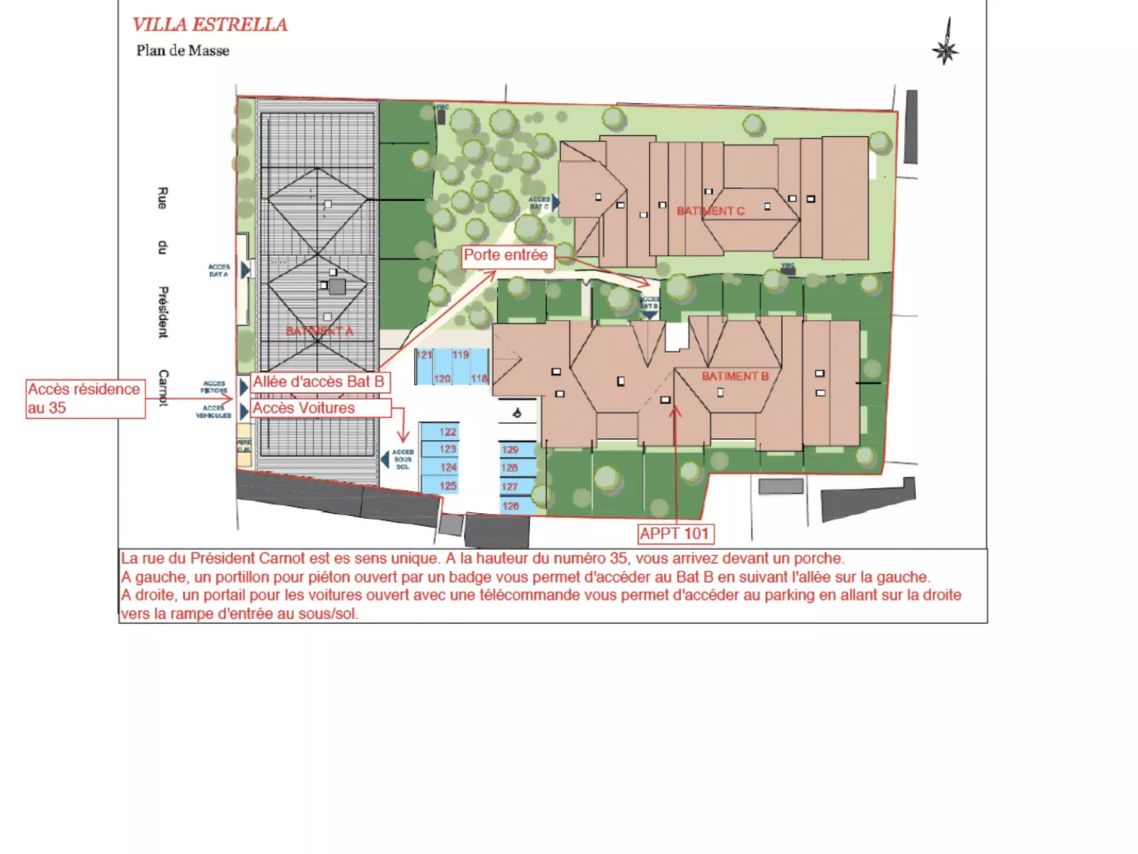 "Seepferdchen des Beckens"-Inside