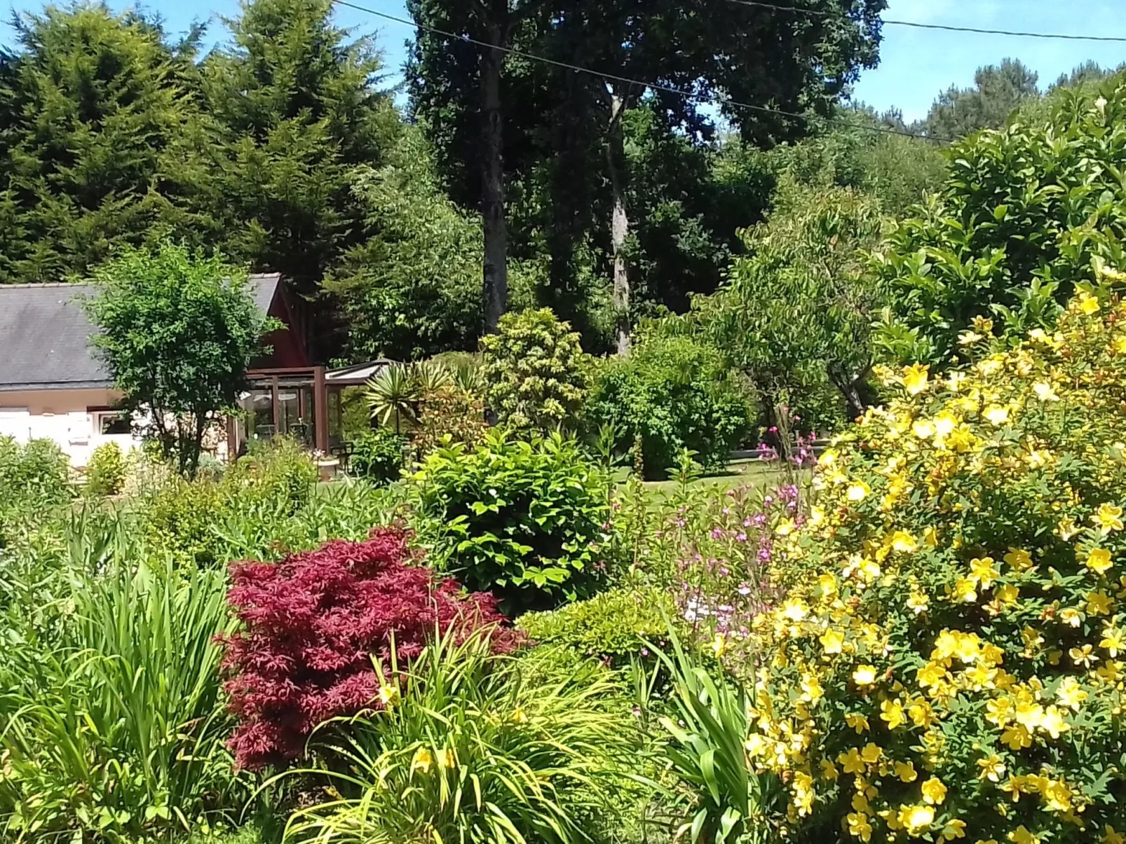 Chalet "gite du bois d'amour" (Hütte des Liebesh-Outside