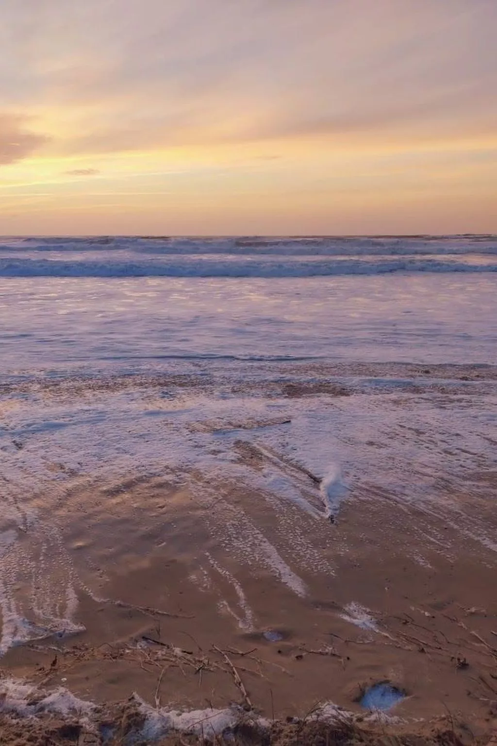 Villa Cocoon Contis-plage 1 chambre-Dehors