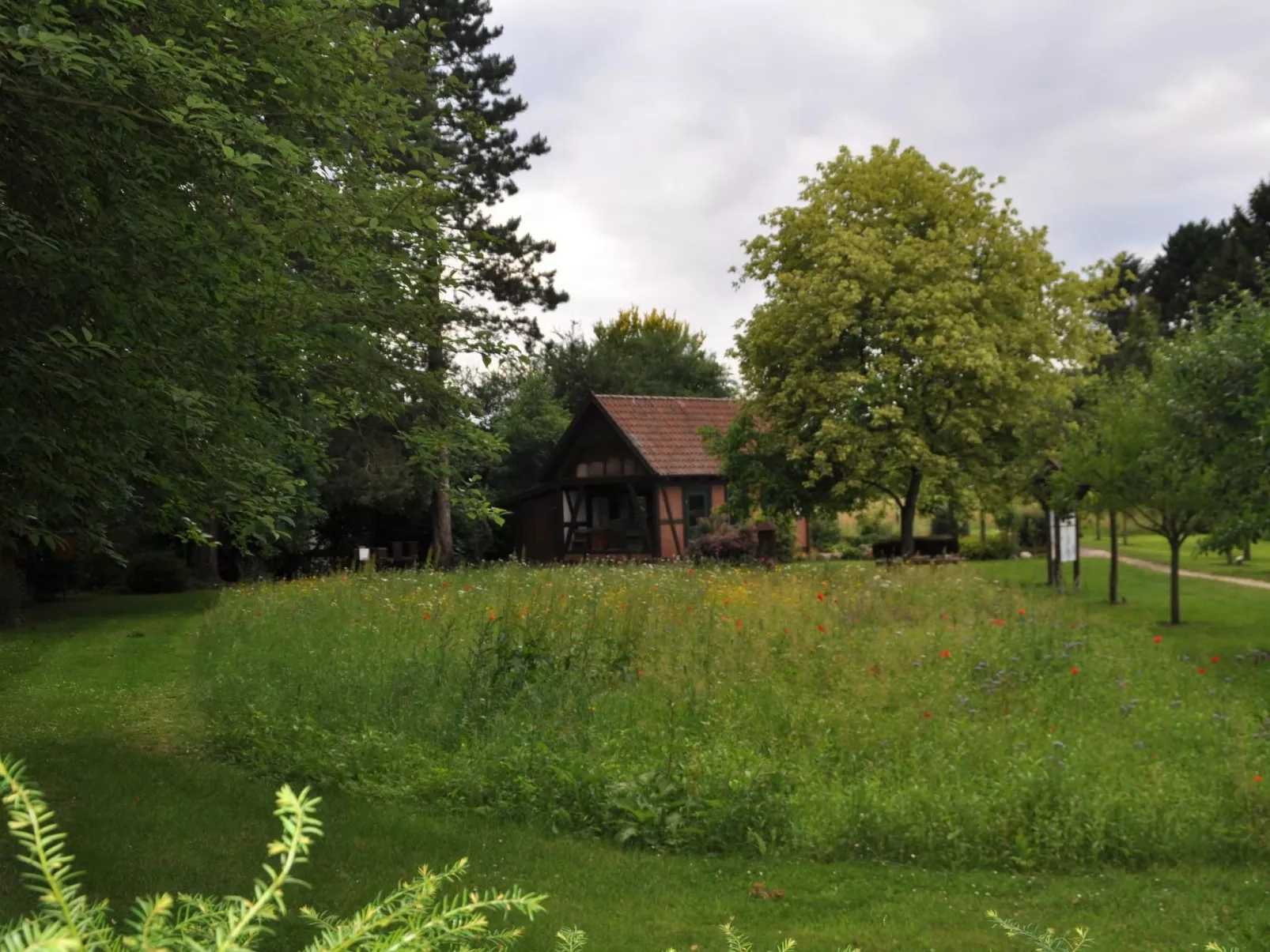 Rosalie - Ruhig - Zentral - Hochwertig-Outside