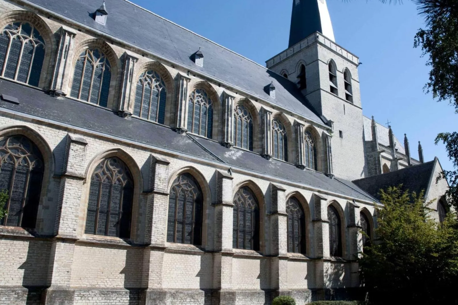 Collegezicht-Areas summer 1km