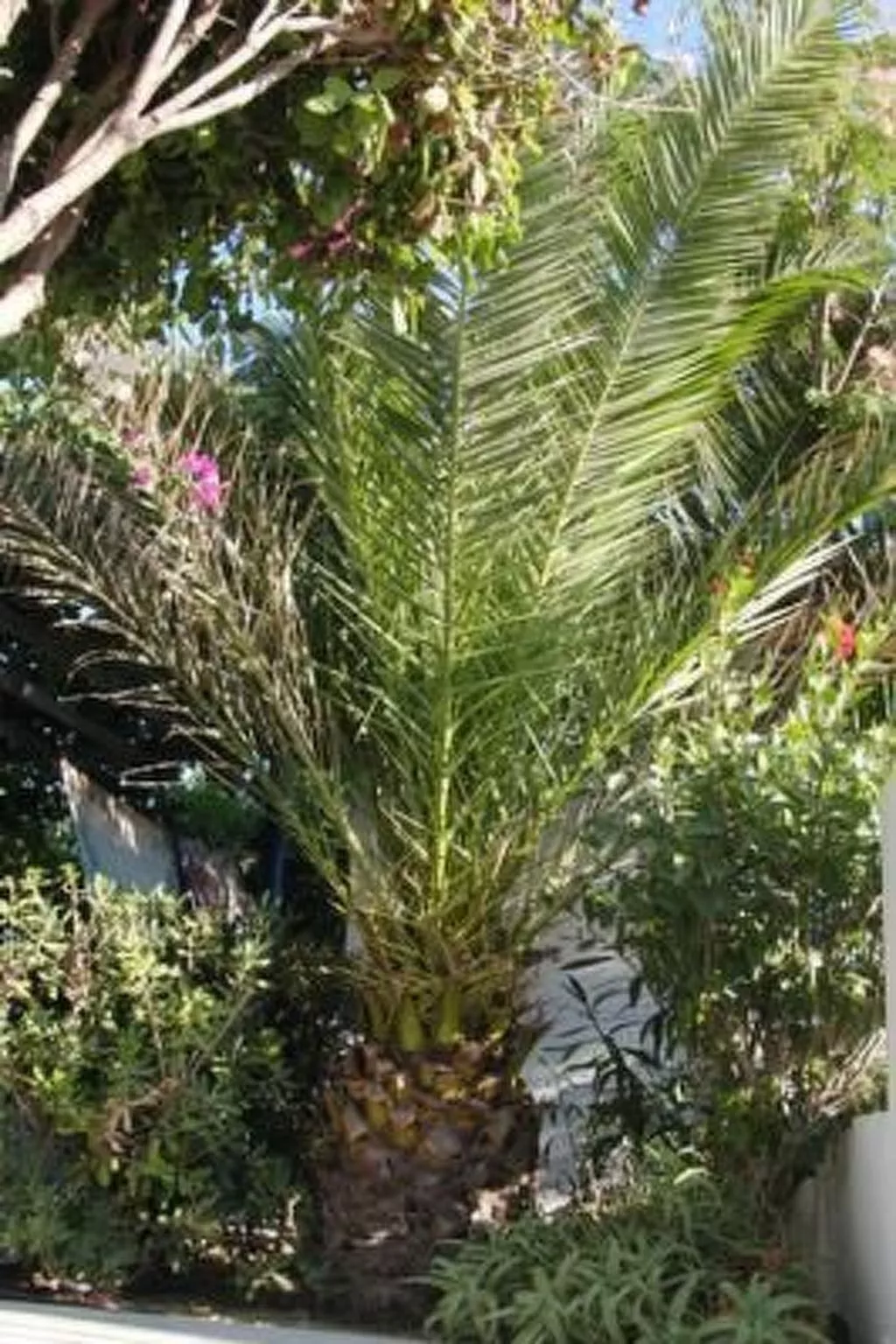 Castle View Haraki, ground floor ap4-Dehors