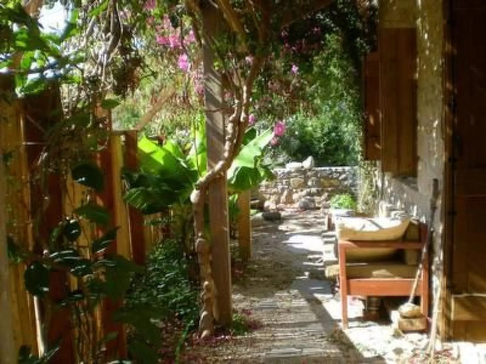 Spiti Papaya-Draußen