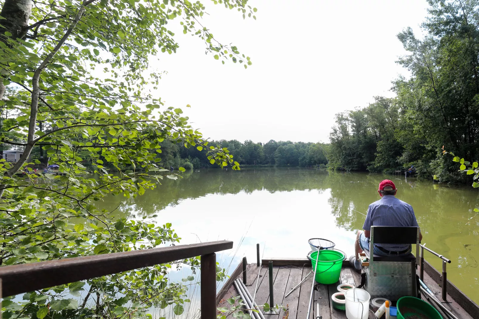 Baalse Hei 3-Areas summer 1km