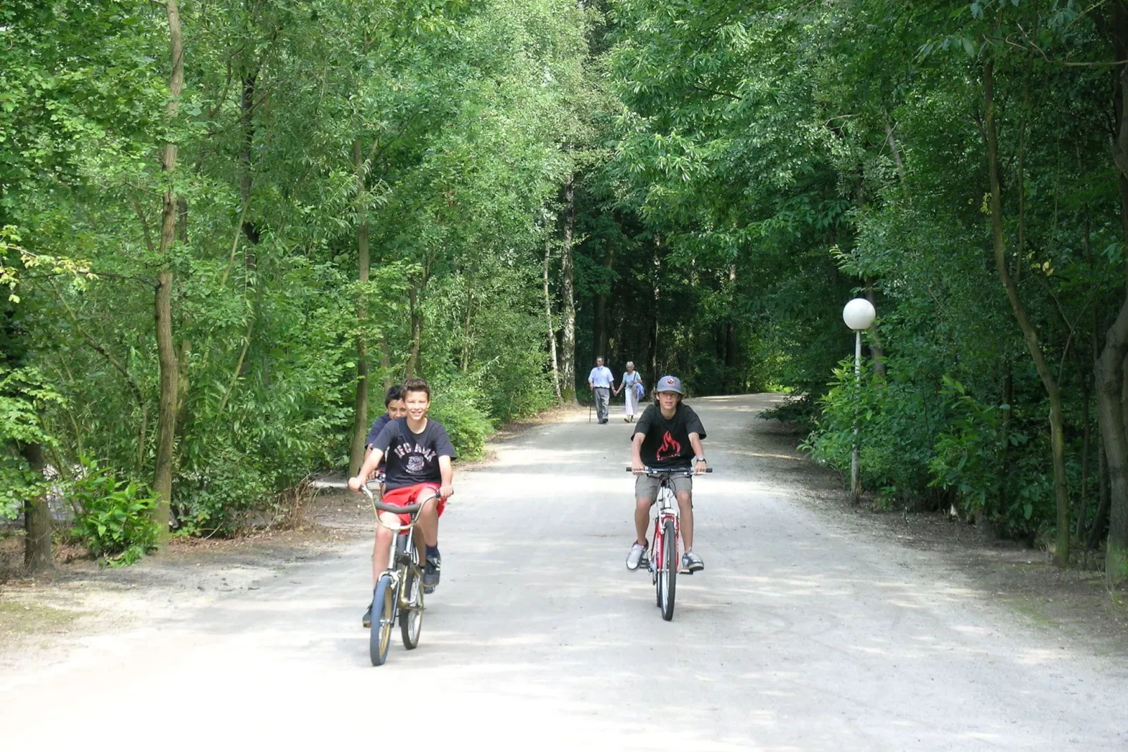 Baalse Hei 3-Areas summer 1km