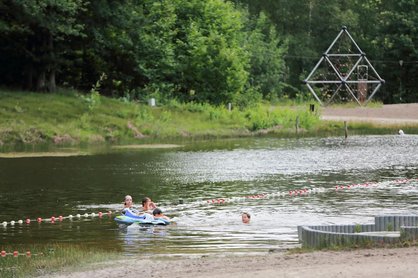 Baalse Hei 3-Areas summer 1km