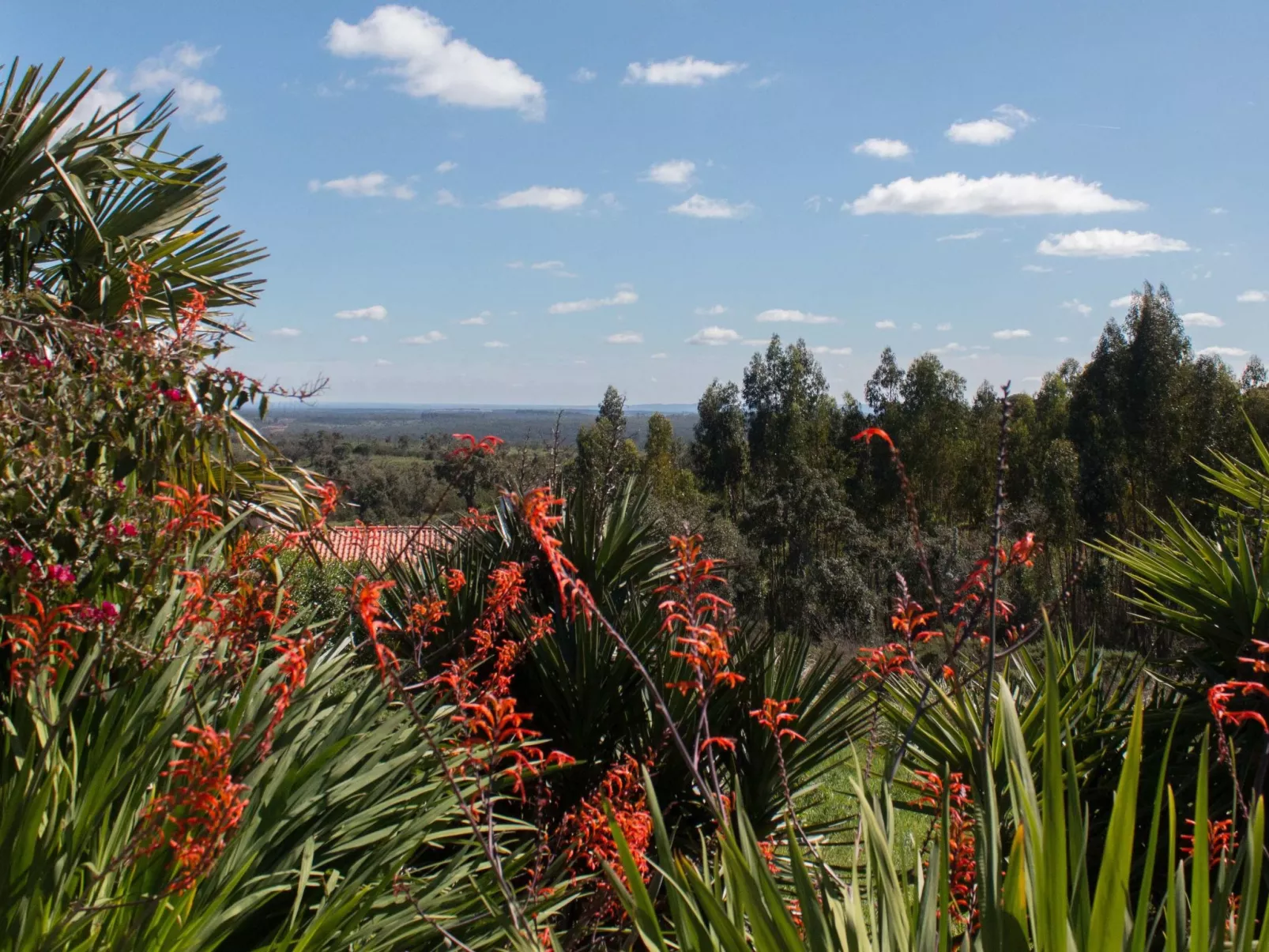 Monte Horizonte Casa Passaro Öko und Natur-Draußen