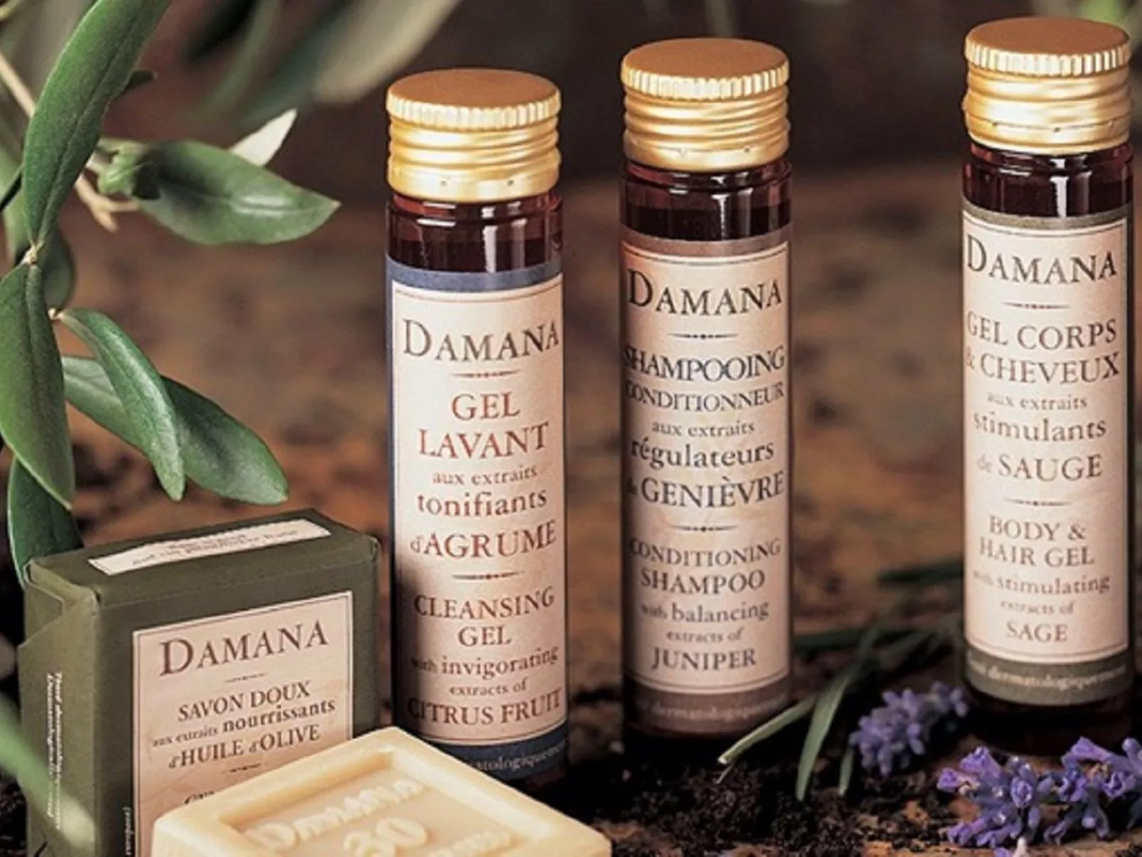 Cottage Garten 70m2 mit Pool in Azay le rideau-Image-tags.info