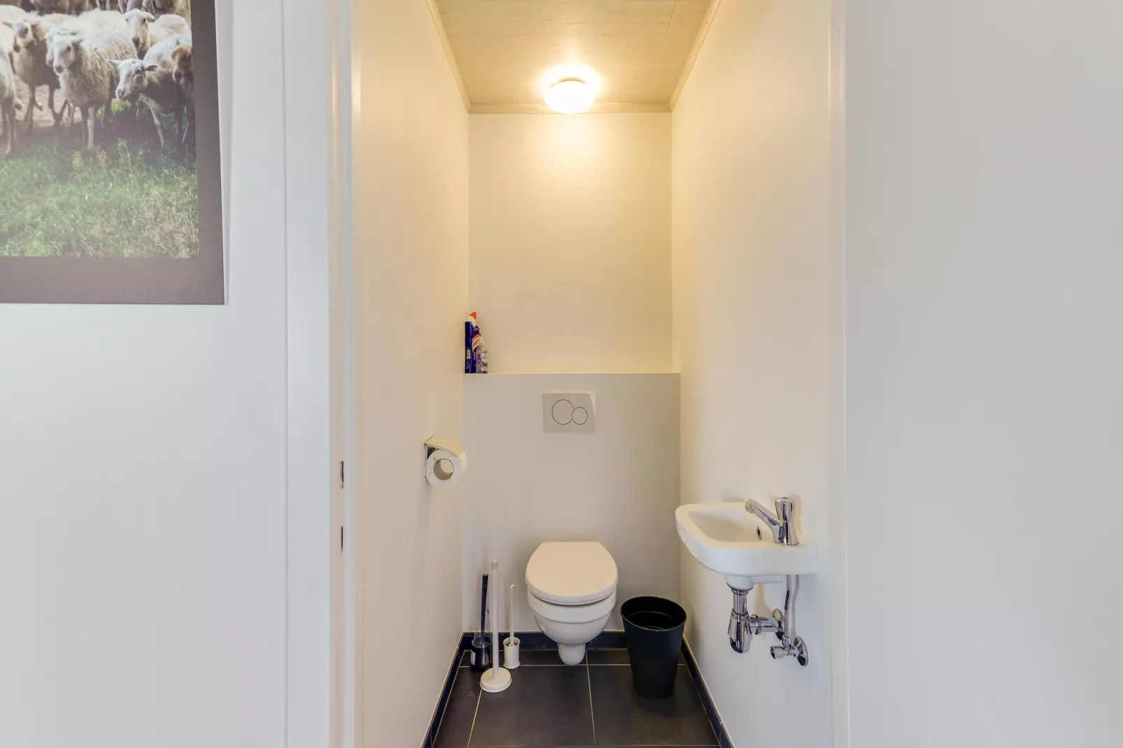 IN DE WOLLEKJES  “slapen bij of tussen de schapen”-Salle de bain