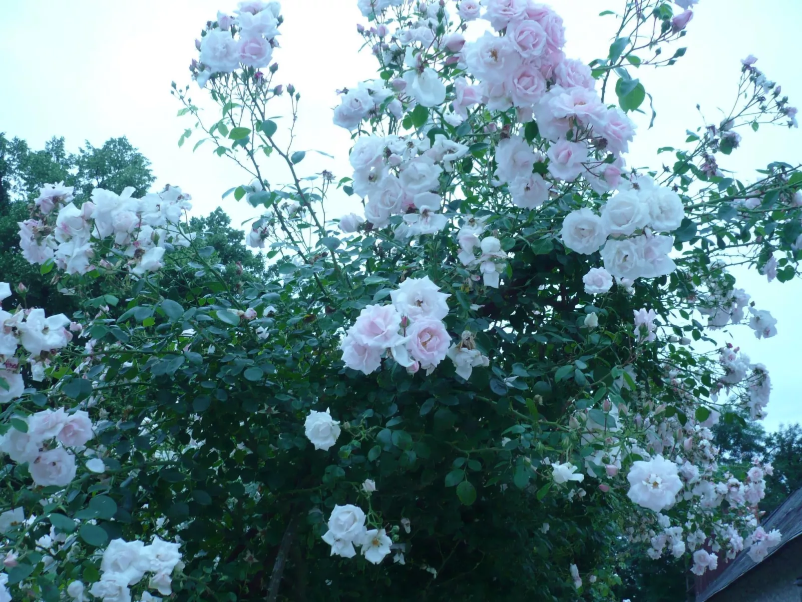 Haus freistehend Sonne Bett 160cm Patio billig-Dedans