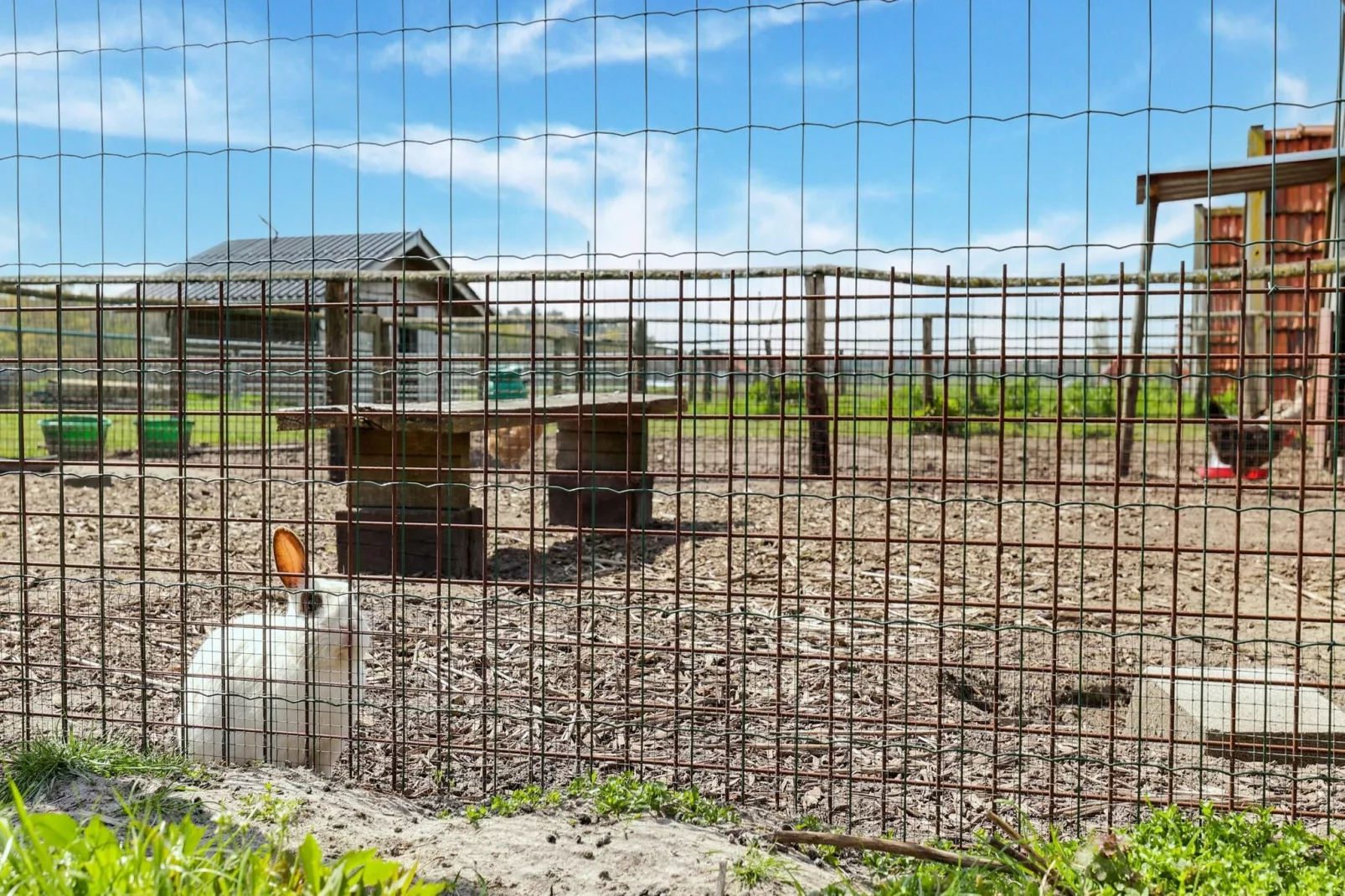 IN DE WOLLEKJES  “slapen bij of tussen de schapen”-Installations du parc